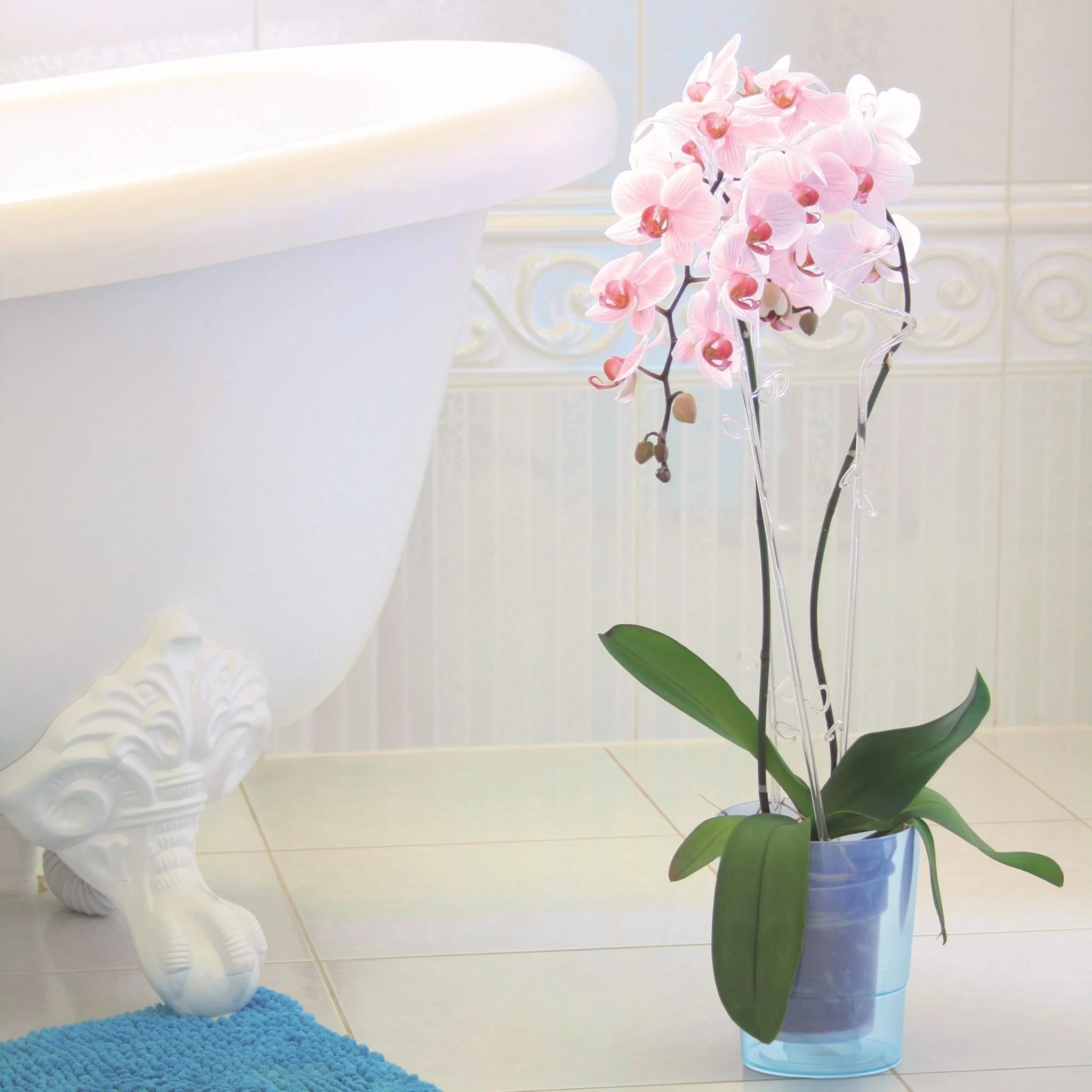 Decor Orchid Sticks - 2pk - Image 8