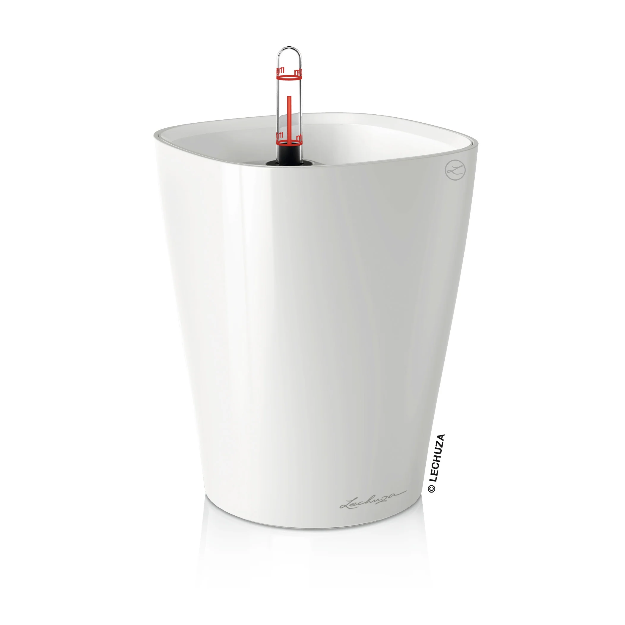 DELTINI - Image 2