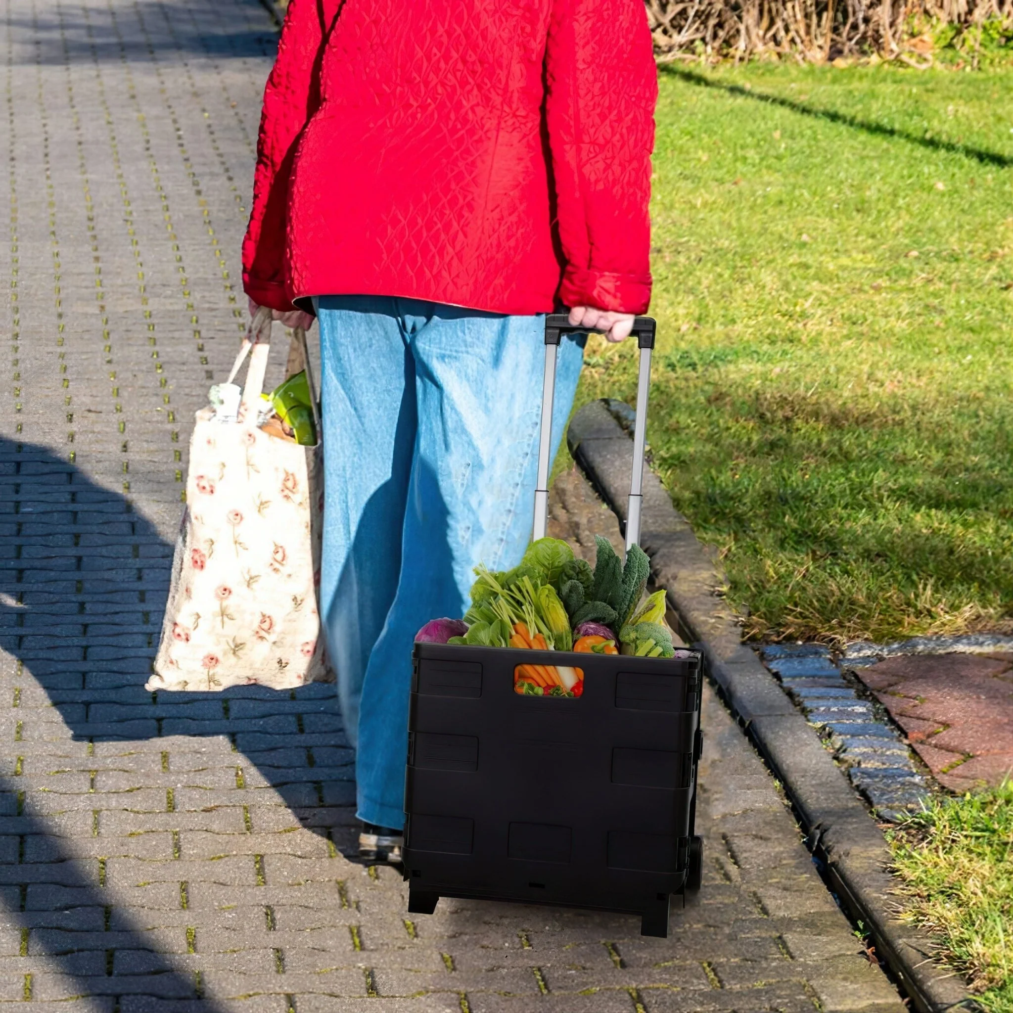 Foldable Shopping Cart Trolley - Large - Image 8