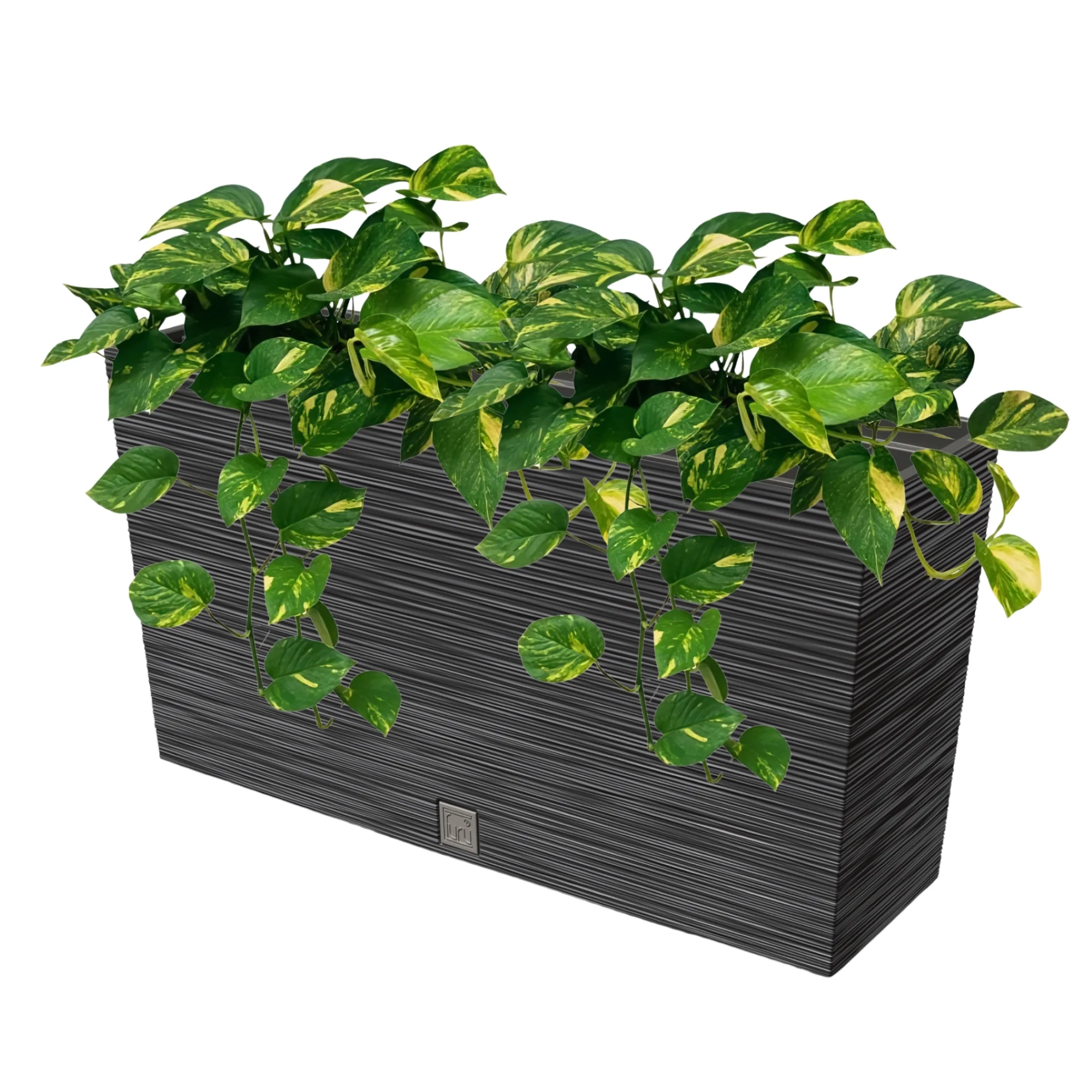 Furu Case Medium Planter - Image 4