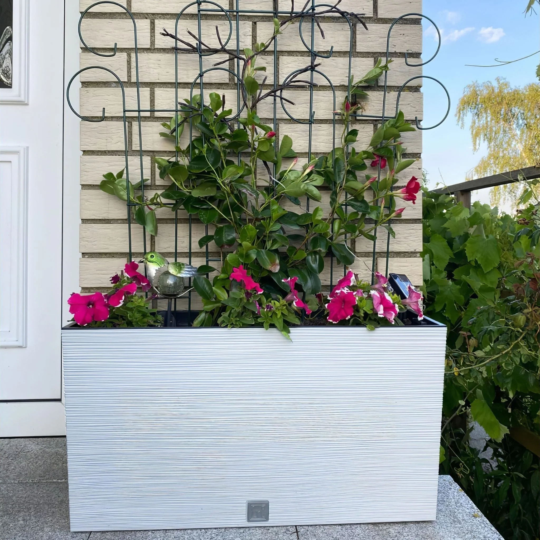 Furu Case Medium Planter - Image 5