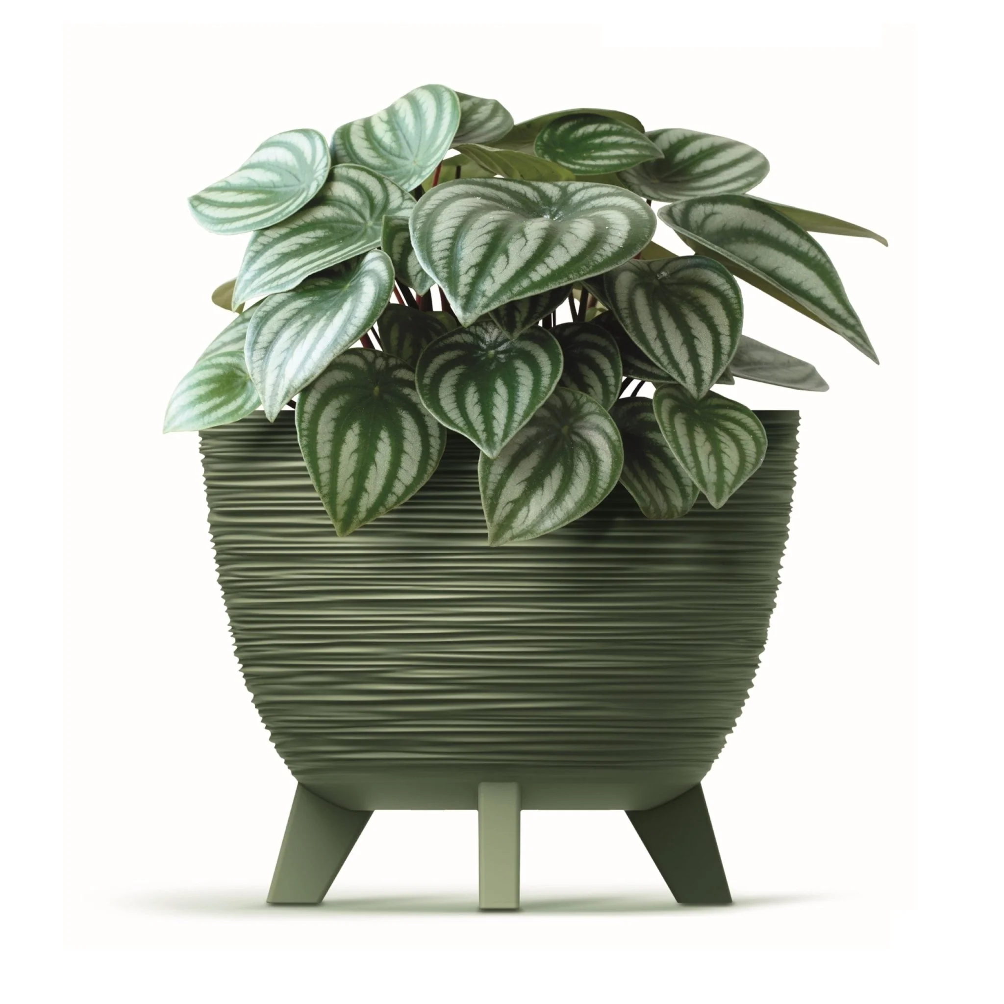Furu Planter 240 - Image 7