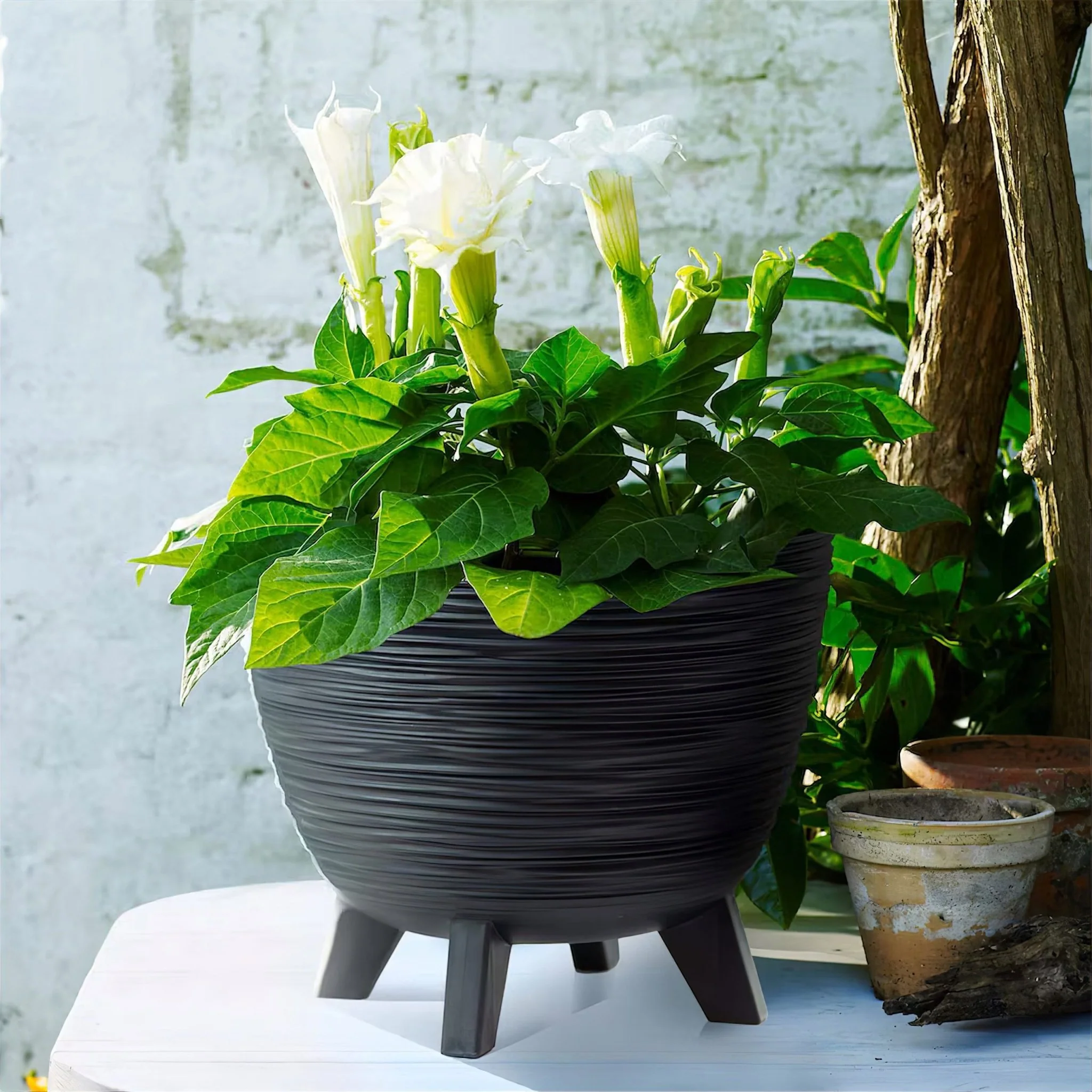 Furu Planter 240 - Image 9