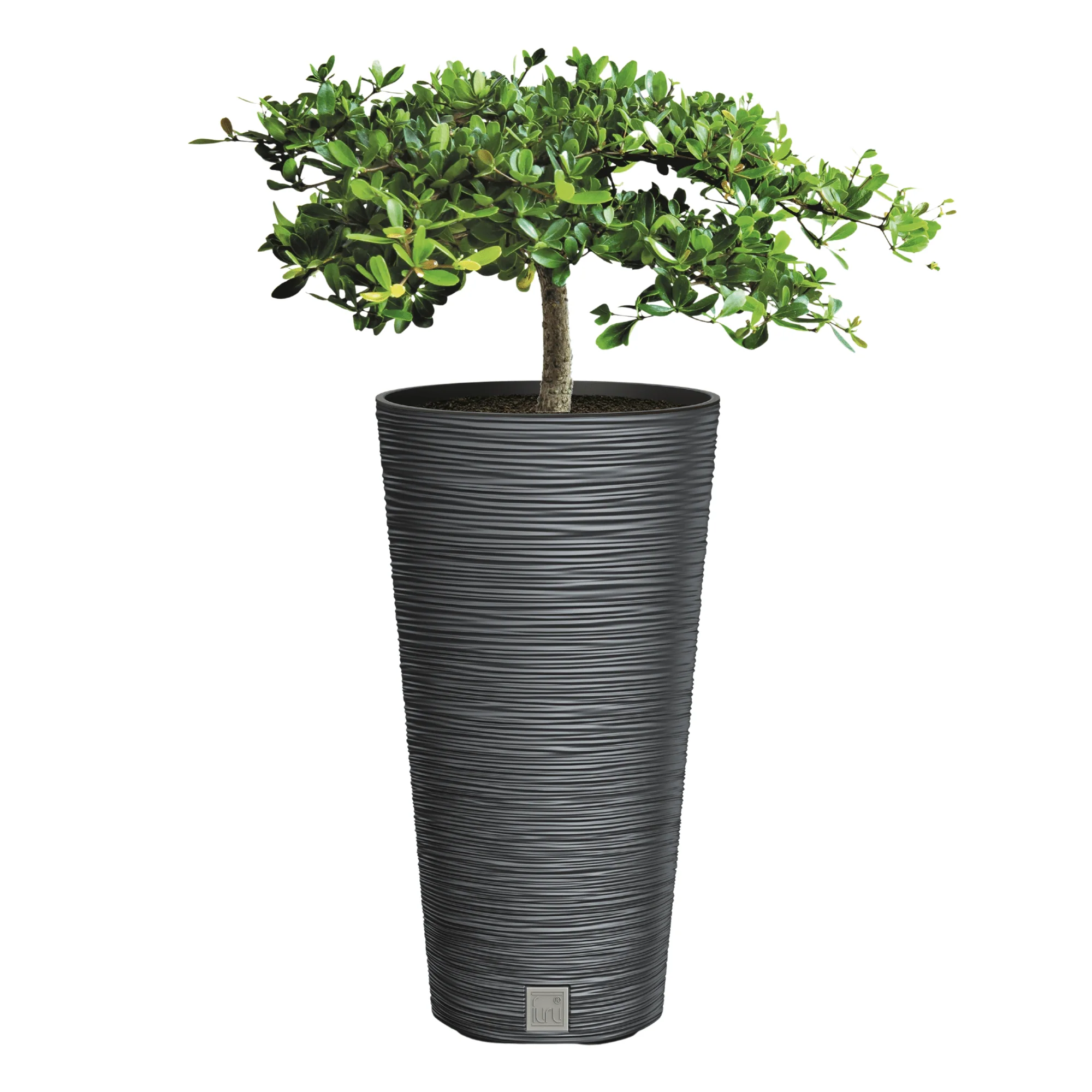 Furu Round Tall Planter 250 - Image 6