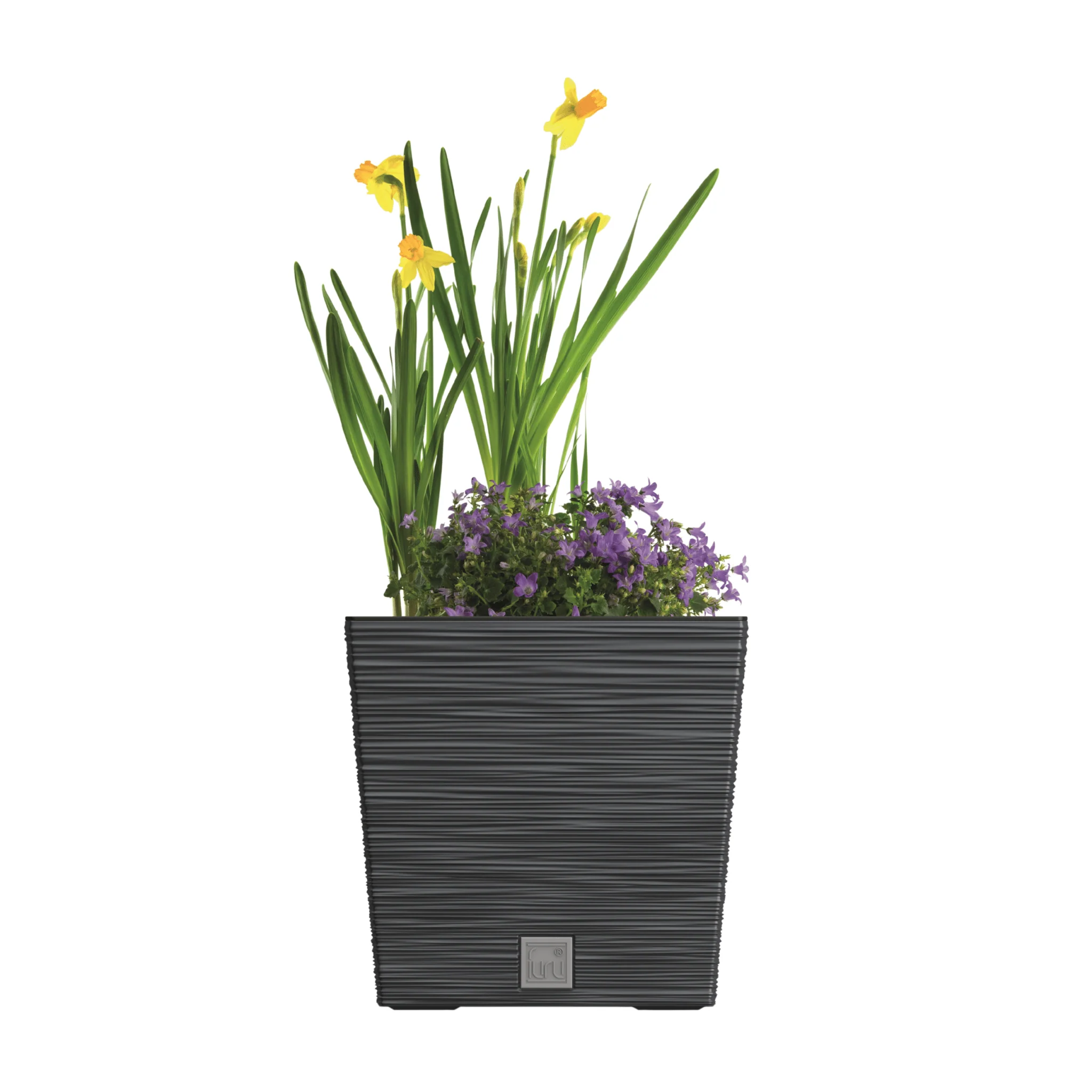 Furu Square Low Planter 300 - Image 7