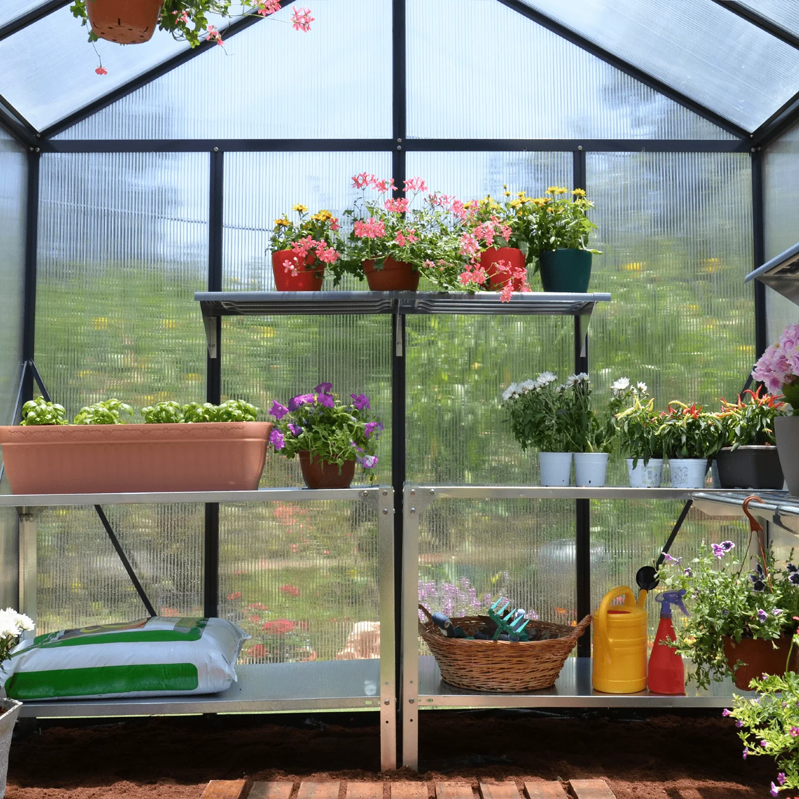 PRE ORDER: MAY. - GLORY 8' x 16' Premium Greenhouse - Grey Frame (2.5m x 4.9m) - Image 3