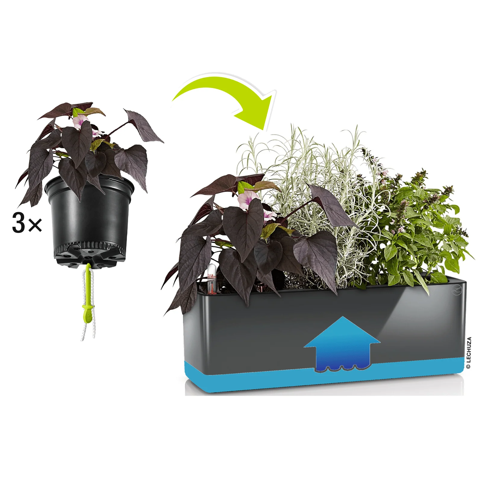 Glossy CUBE Triple - Image 9