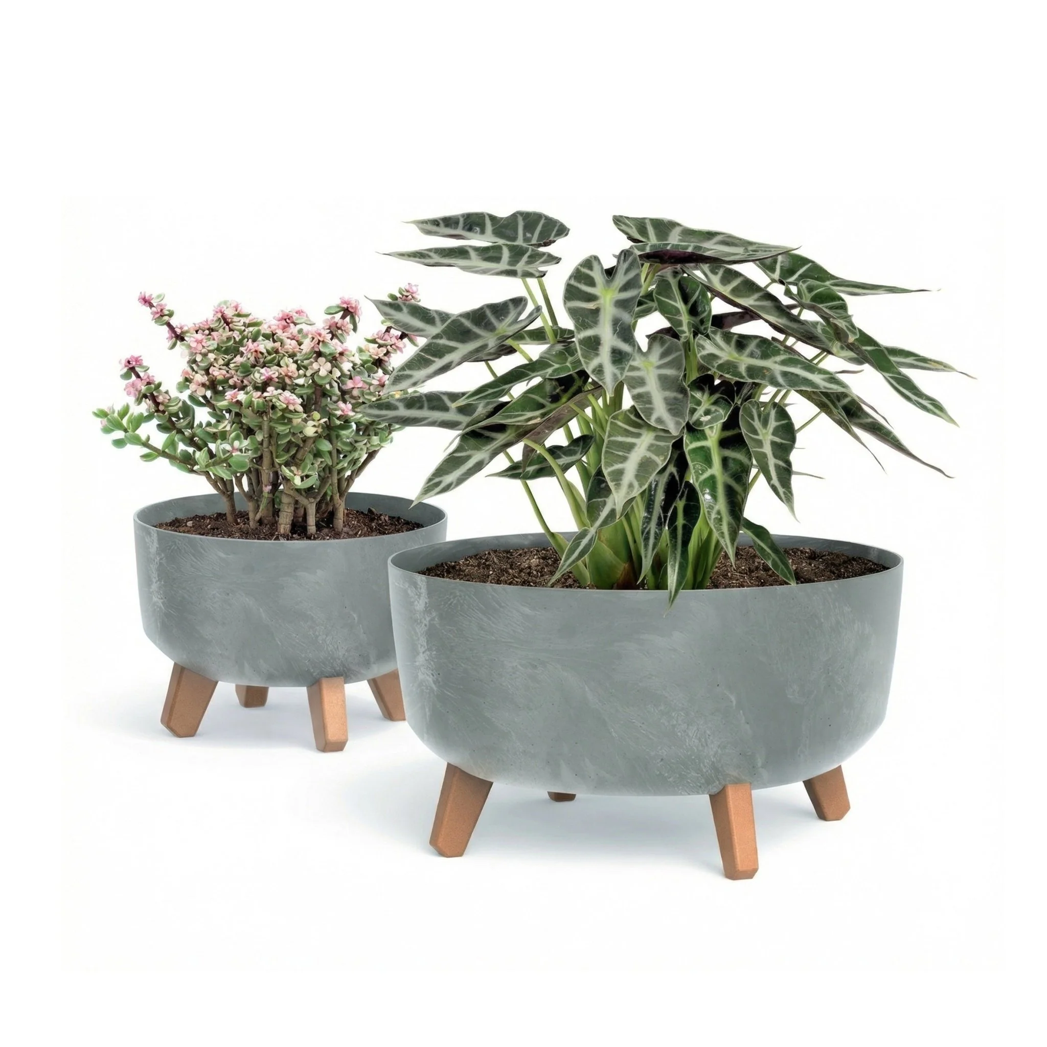 Gracia Low Planter - Beton Concrete - Image 8