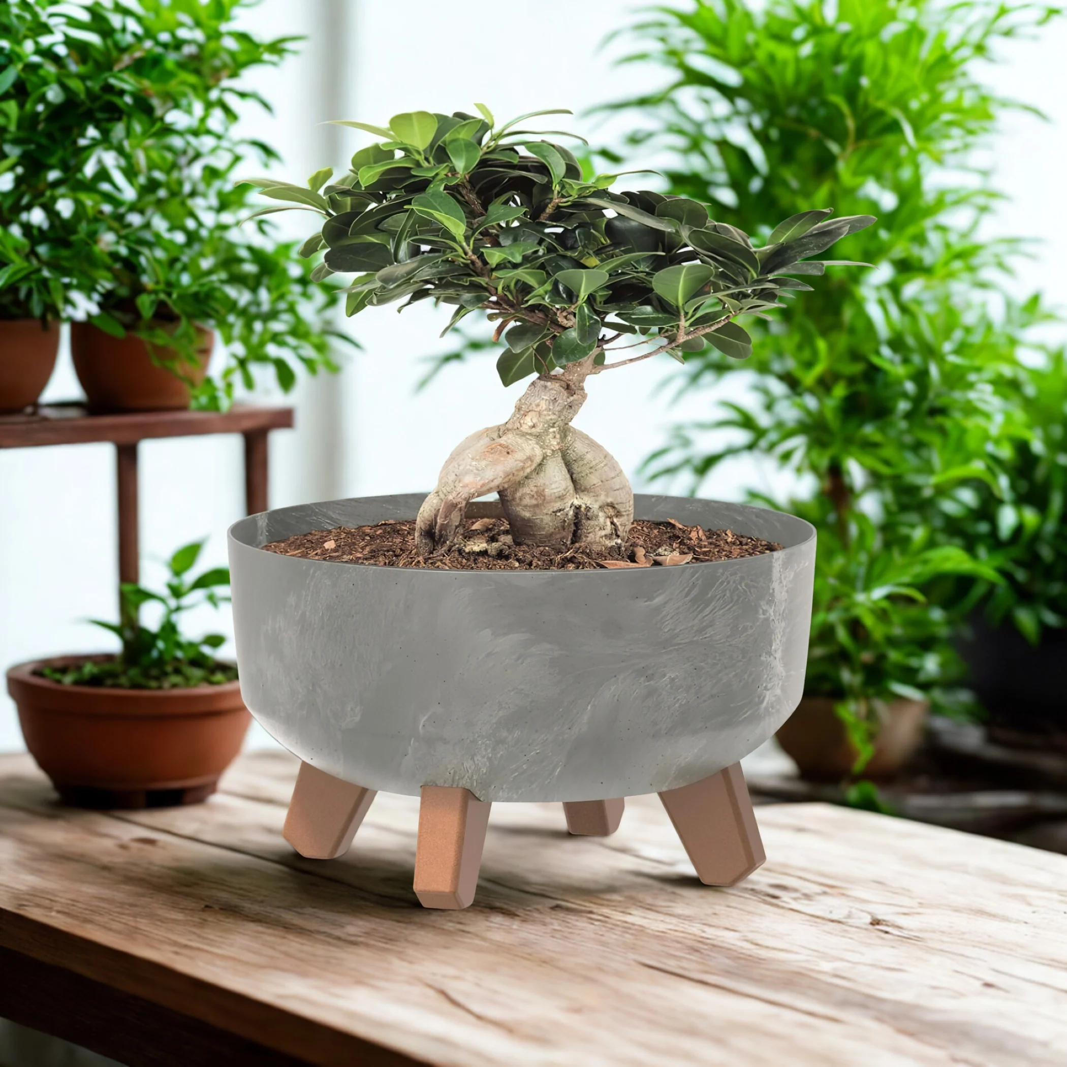 Gracia Low Planter - Beton Concrete - Image 9