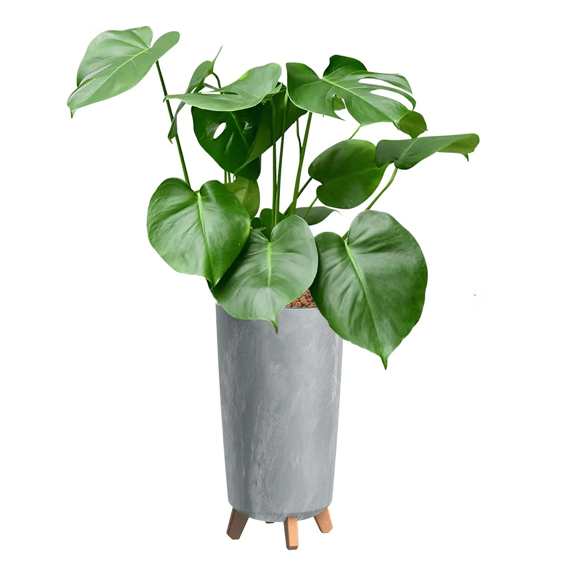 Gracia Tubus Slim Planter - Beton Concrete - Image 5