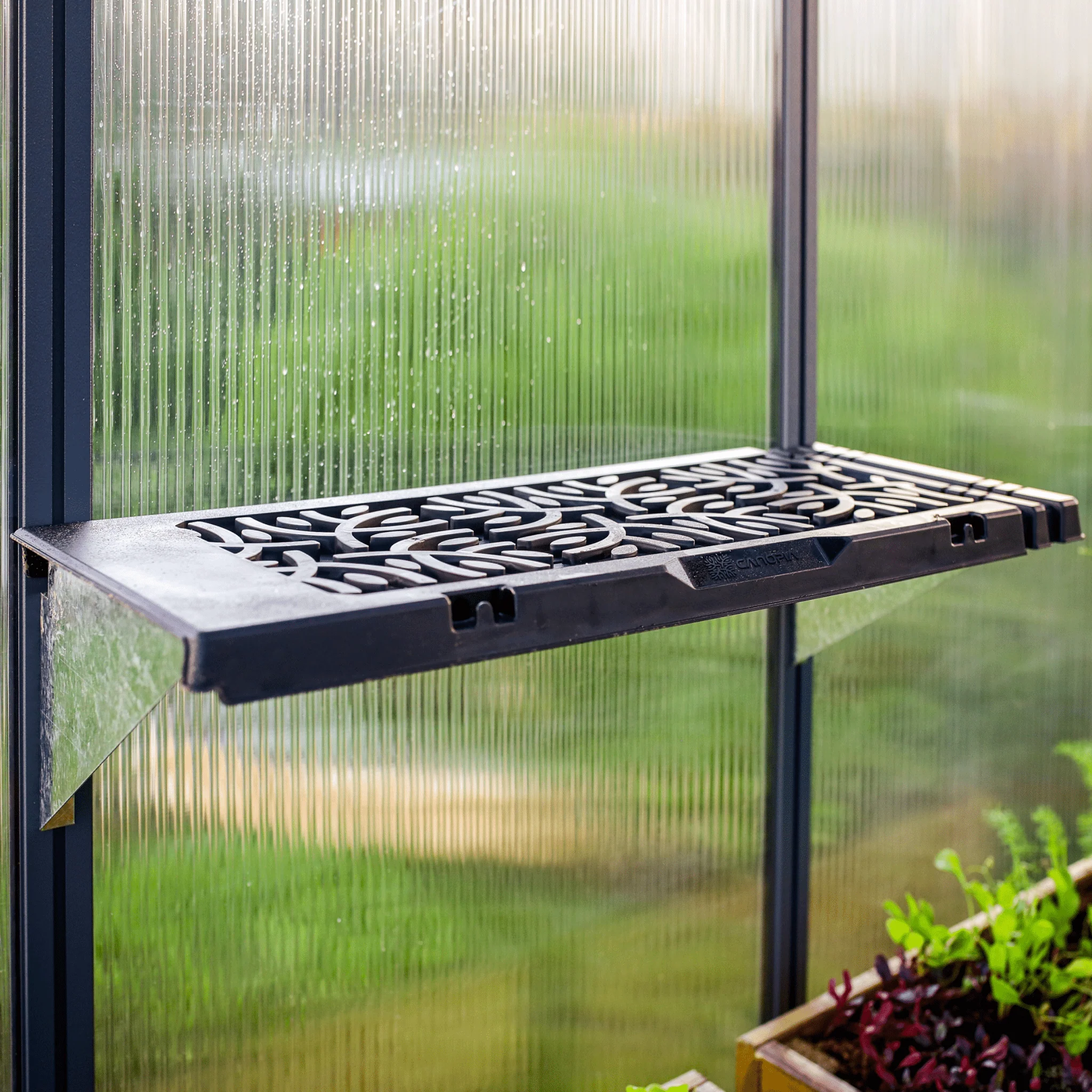 PRE ORDER: MAY - Greenhouse SIGNATURE Twin Shelf Kit - Image 4