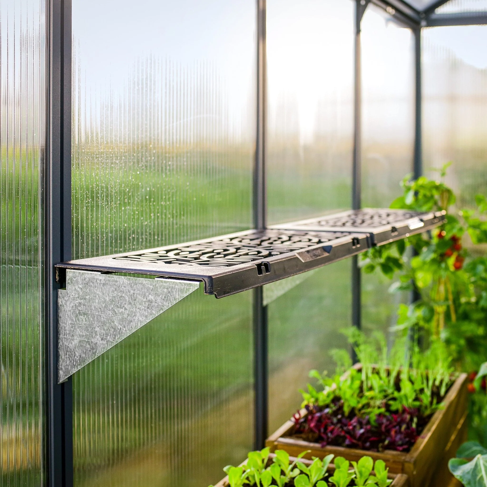 PRE ORDER: MAY - Greenhouse SIGNATURE Twin Shelf Kit - Image 5