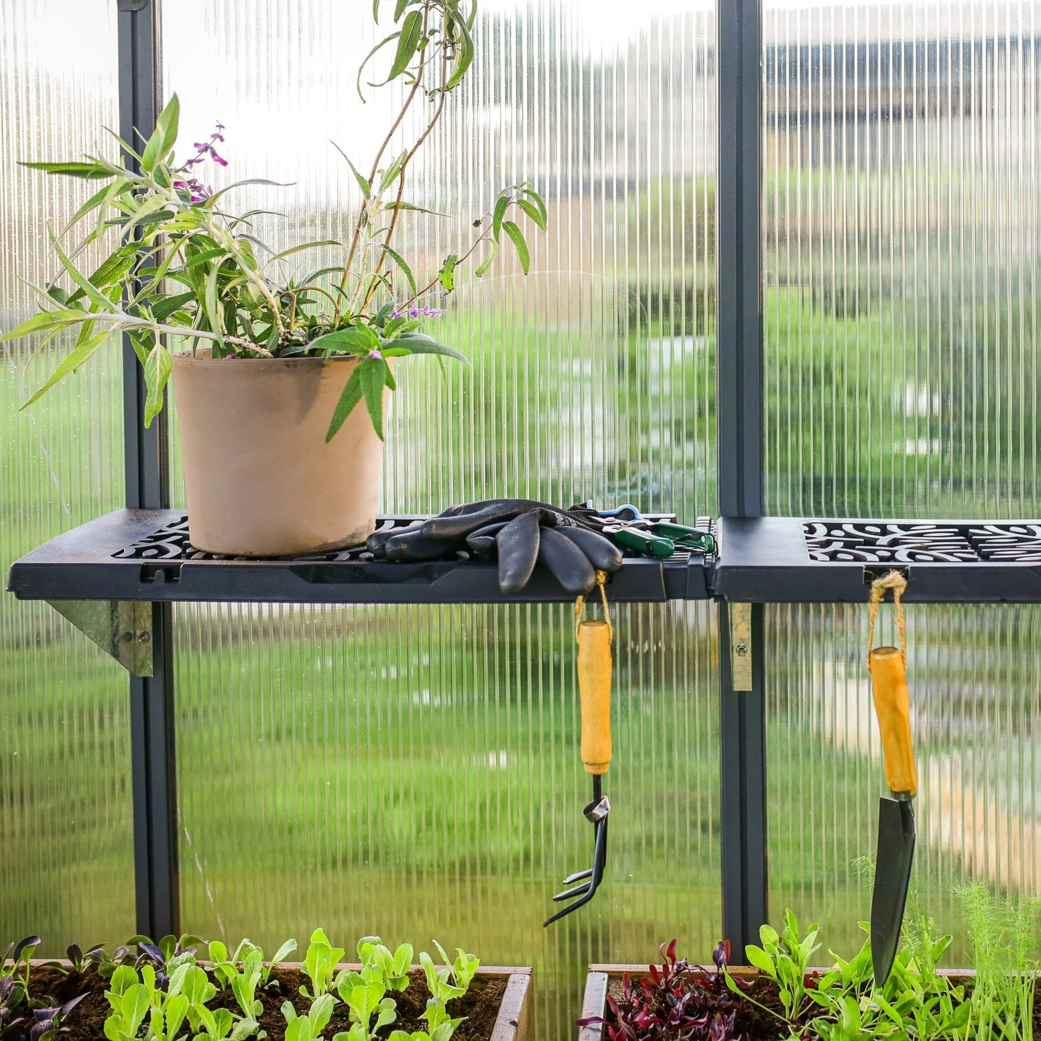 PRE ORDER: MAY - Greenhouse SIGNATURE Twin Shelf Kit - Image 7