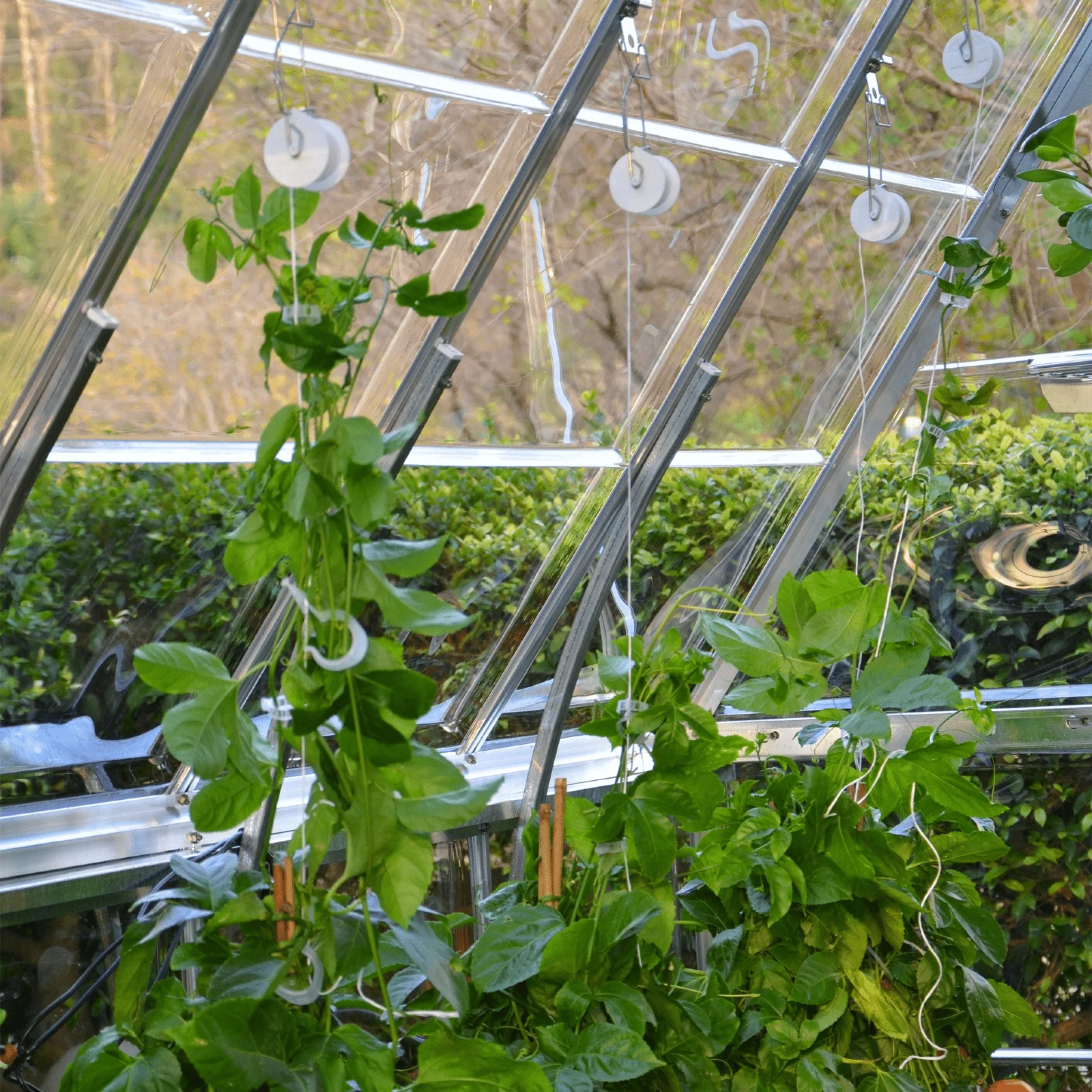 PRE ORDER: APR. - Greenhouse Trellising Kit - Image 2