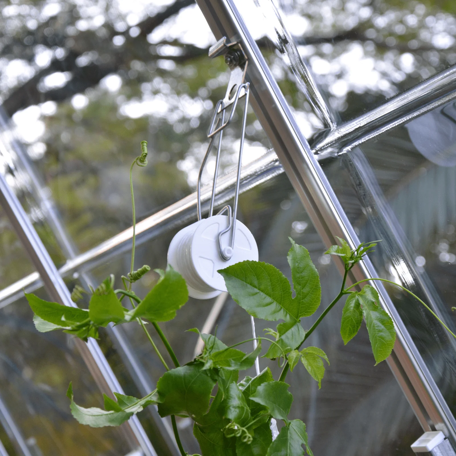 PRE ORDER: APR. - Greenhouse Trellising Kit - Image 3