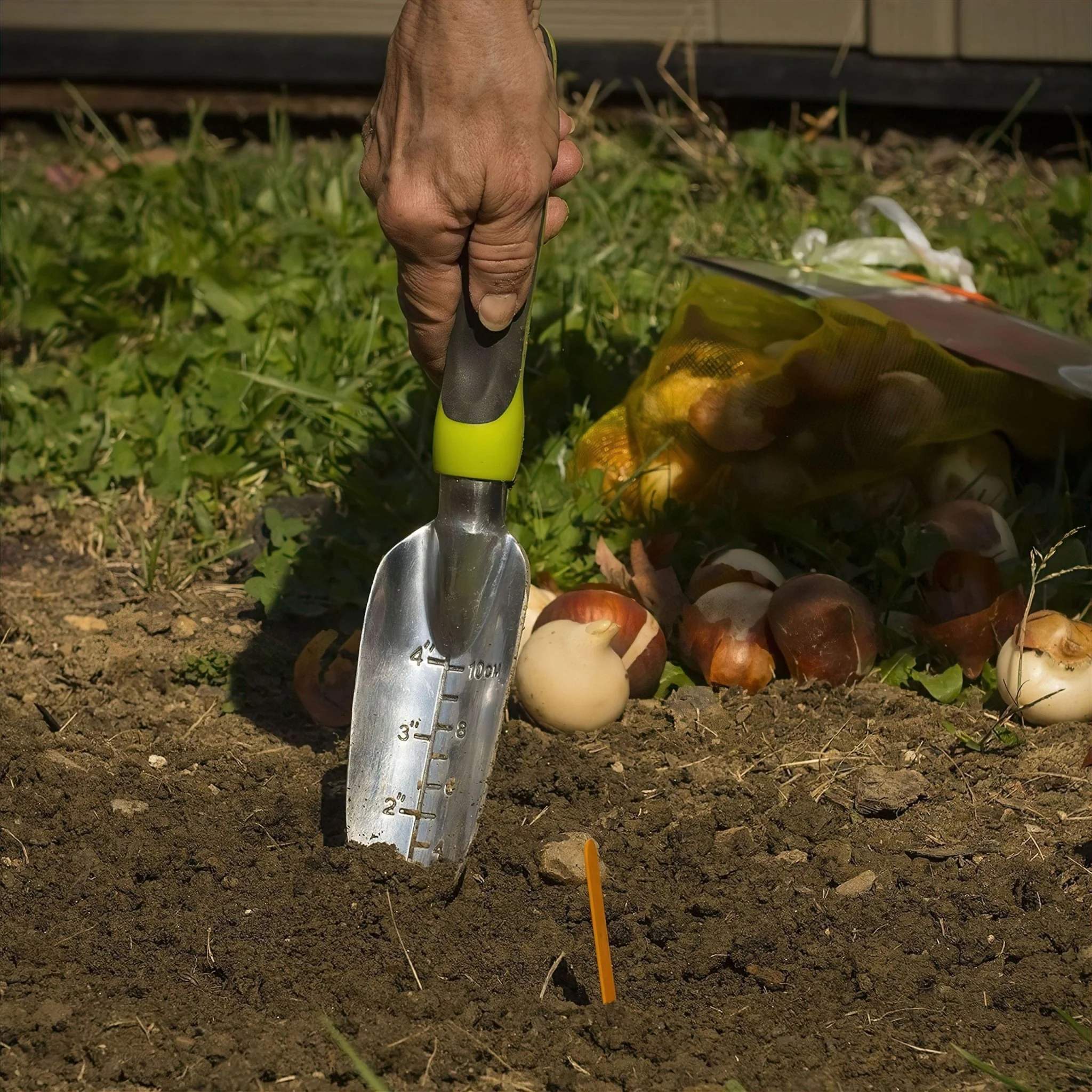 Hand Transplant Trowel - Image 3