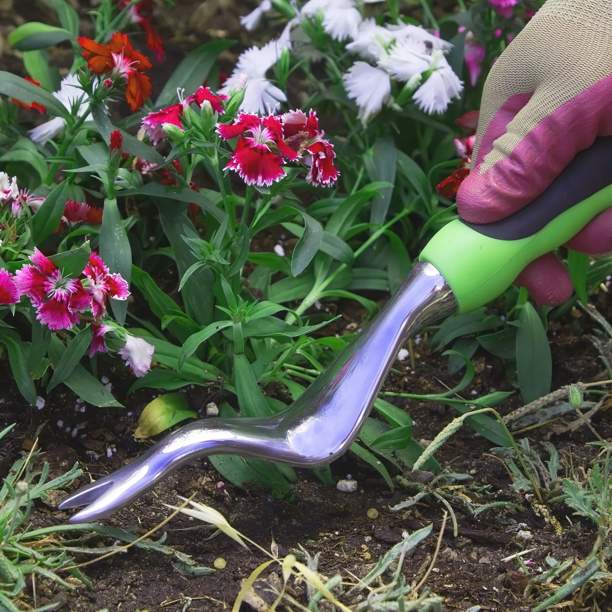 Hand Weeder - Image 7