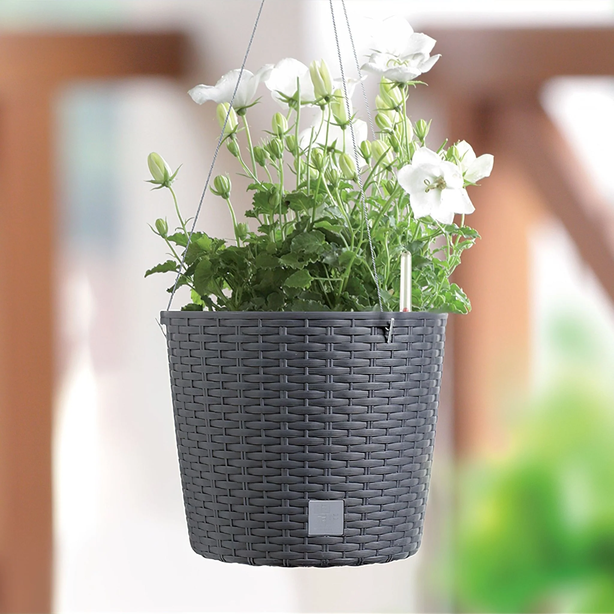Hanging Planter Rato Round With Water Indicator - Image 9