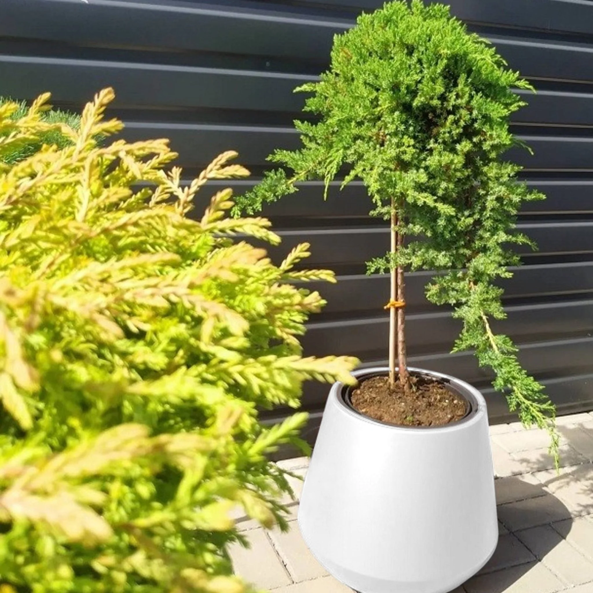 Heos Cone Planter 400 - Image 6