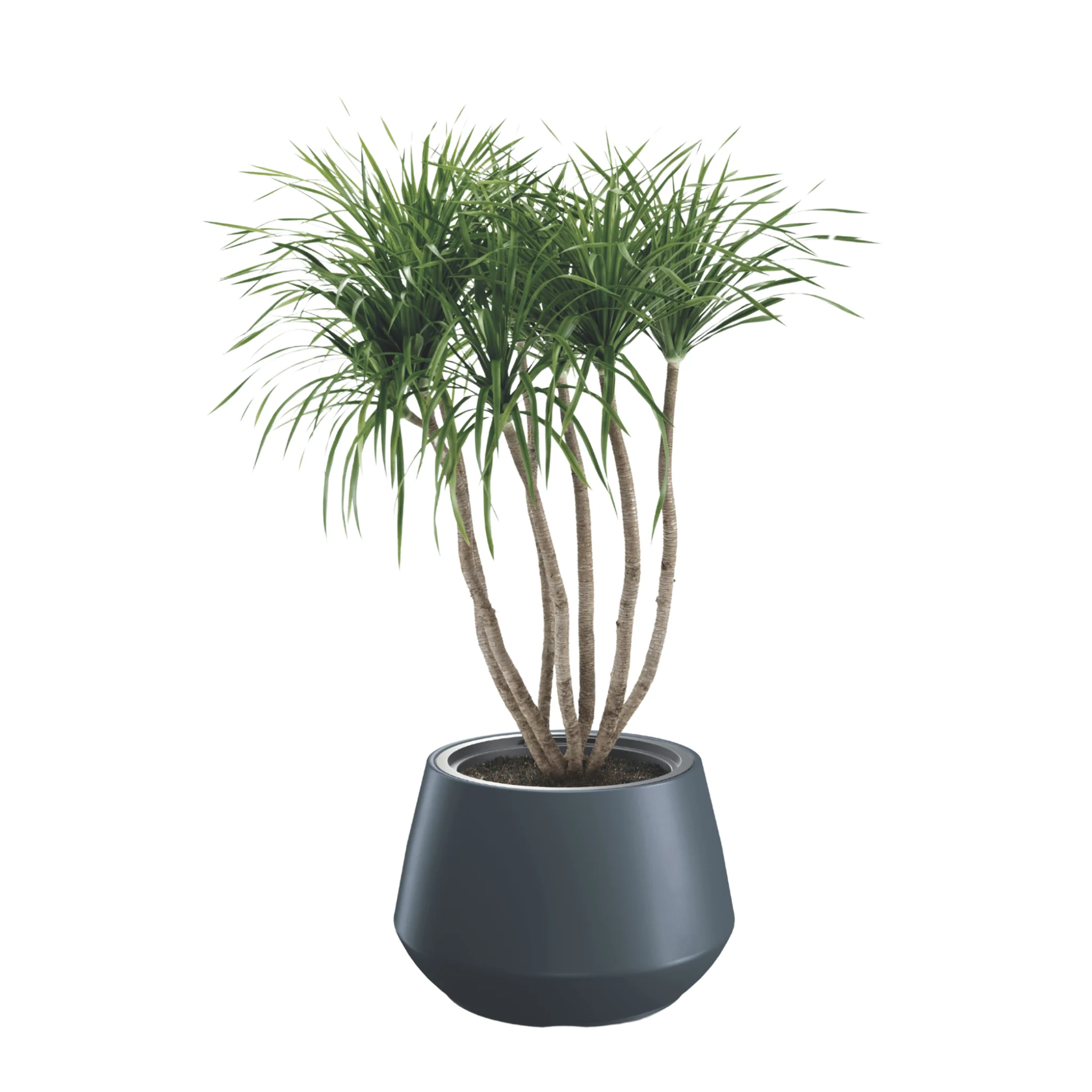 Heos Cone Planter 440 - Image 4