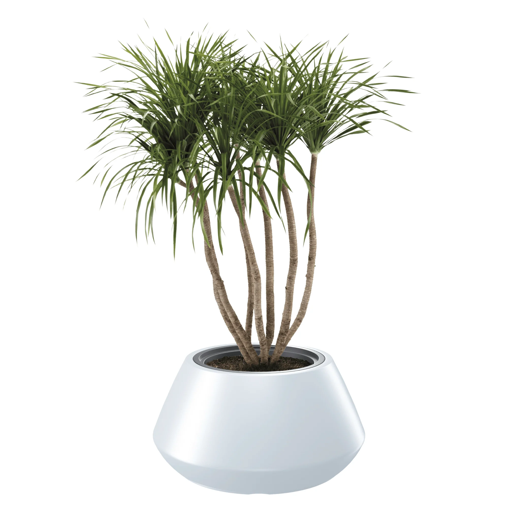 Heos Cone Planter 600 - Image 4
