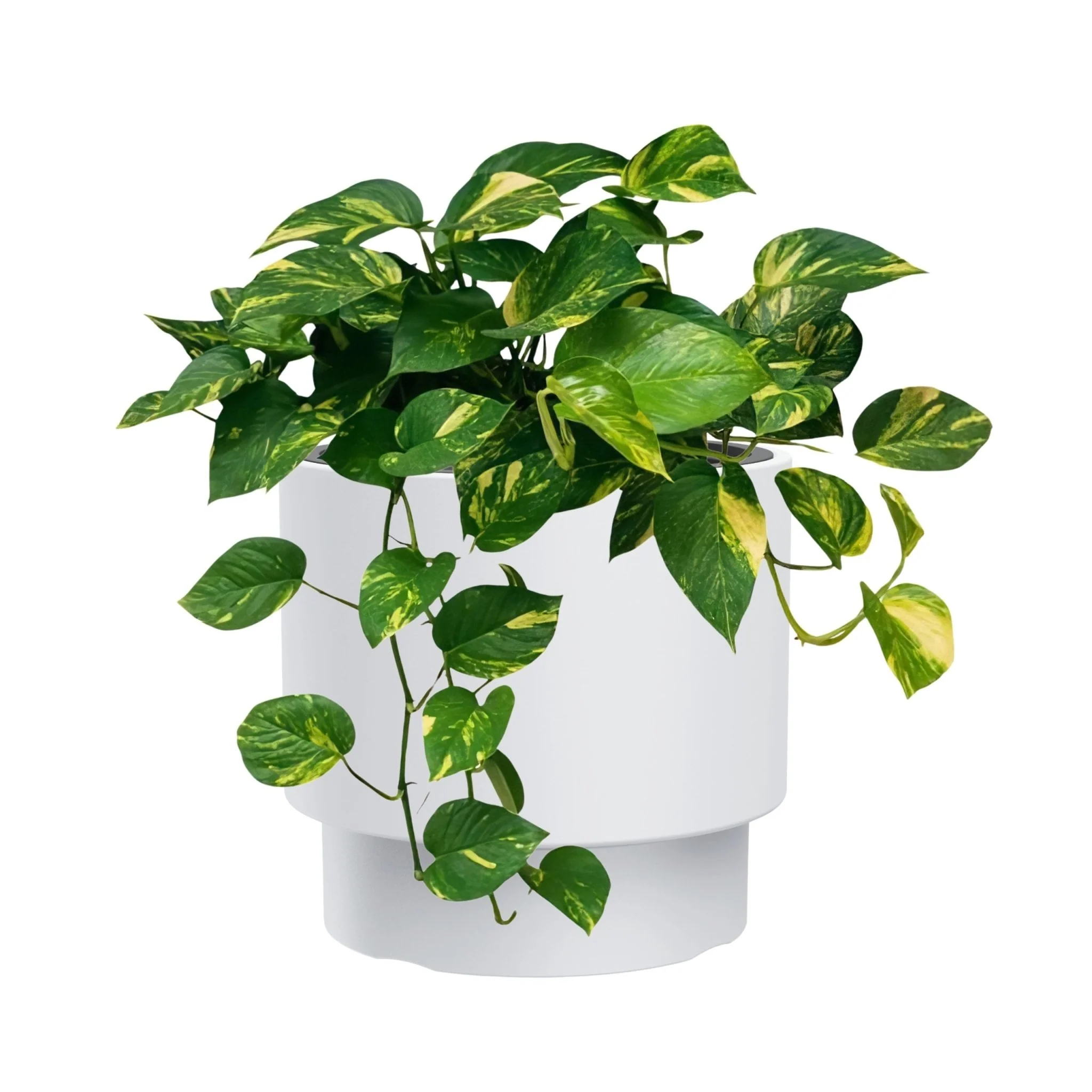 Heos Grace Planter 300 - Image 6
