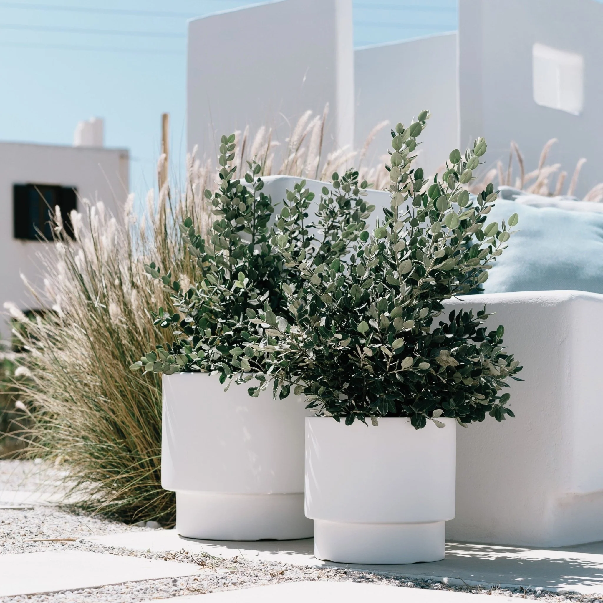 Heos Grace Planter 400 - Image 7