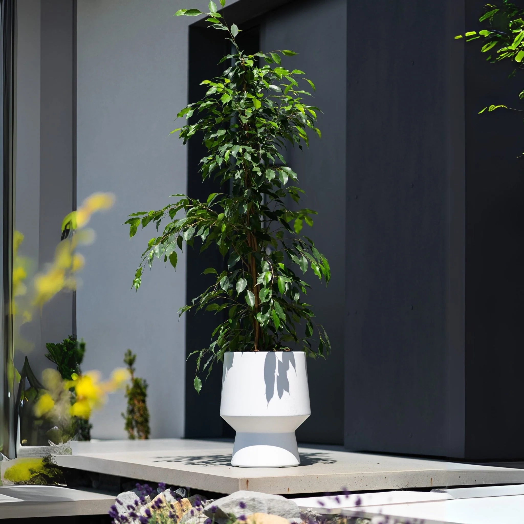 Heos Lux Planter 270 - Image 11