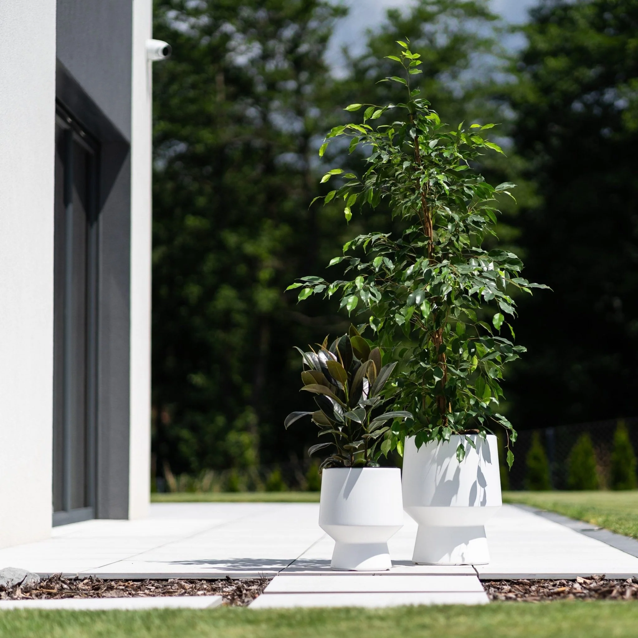 Heos Lux Planter 270 - Image 8