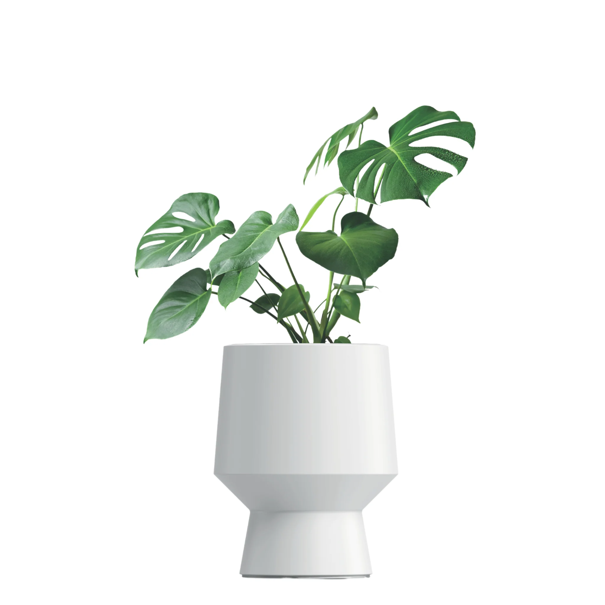 Heos Lux Planter 340 - Image 7