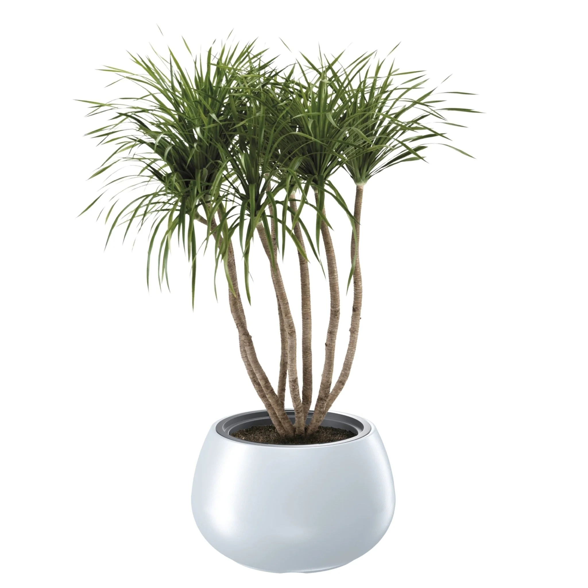 Heos Orbis Planter 400 - Image 5