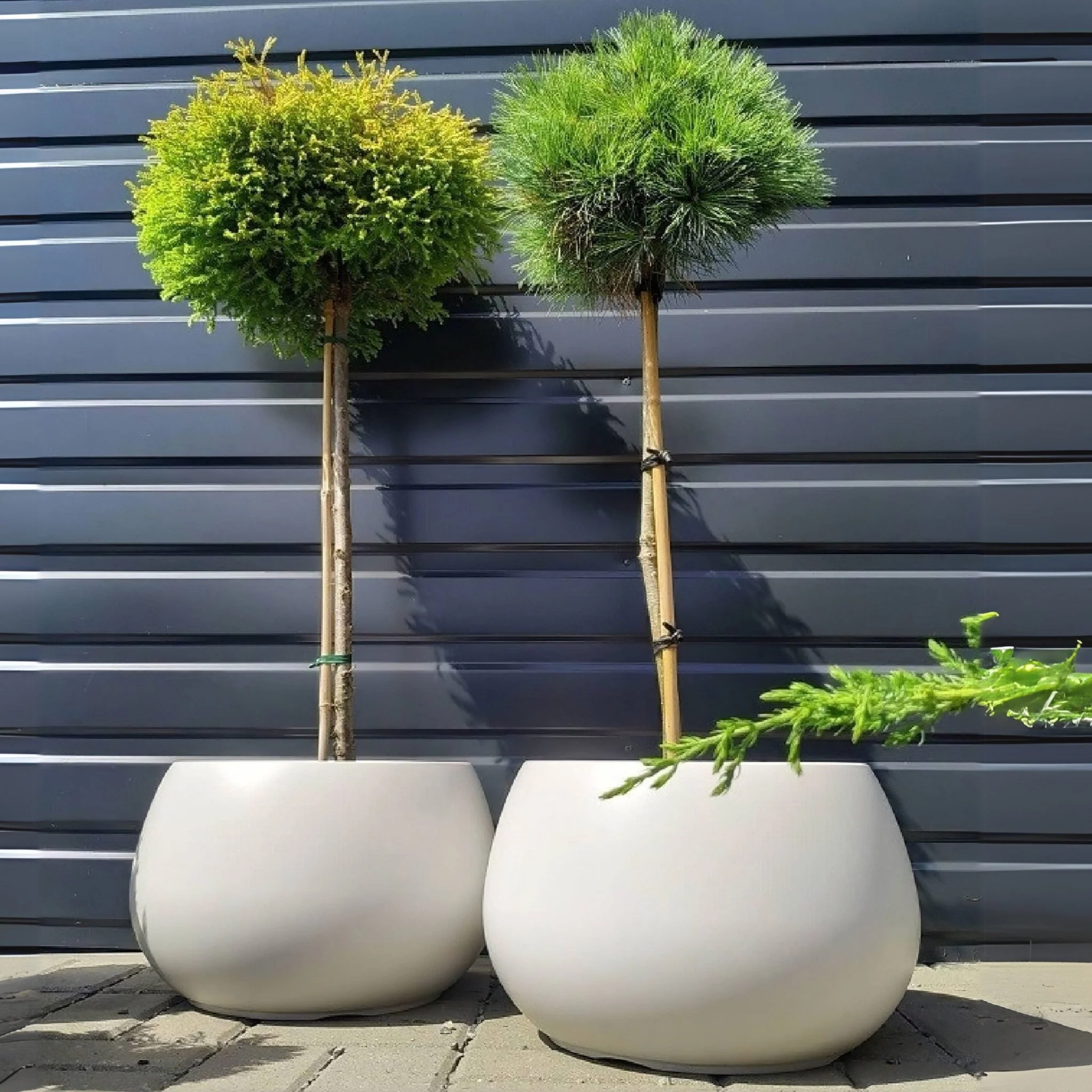 Heos Orbis Planter 400 - Image 6