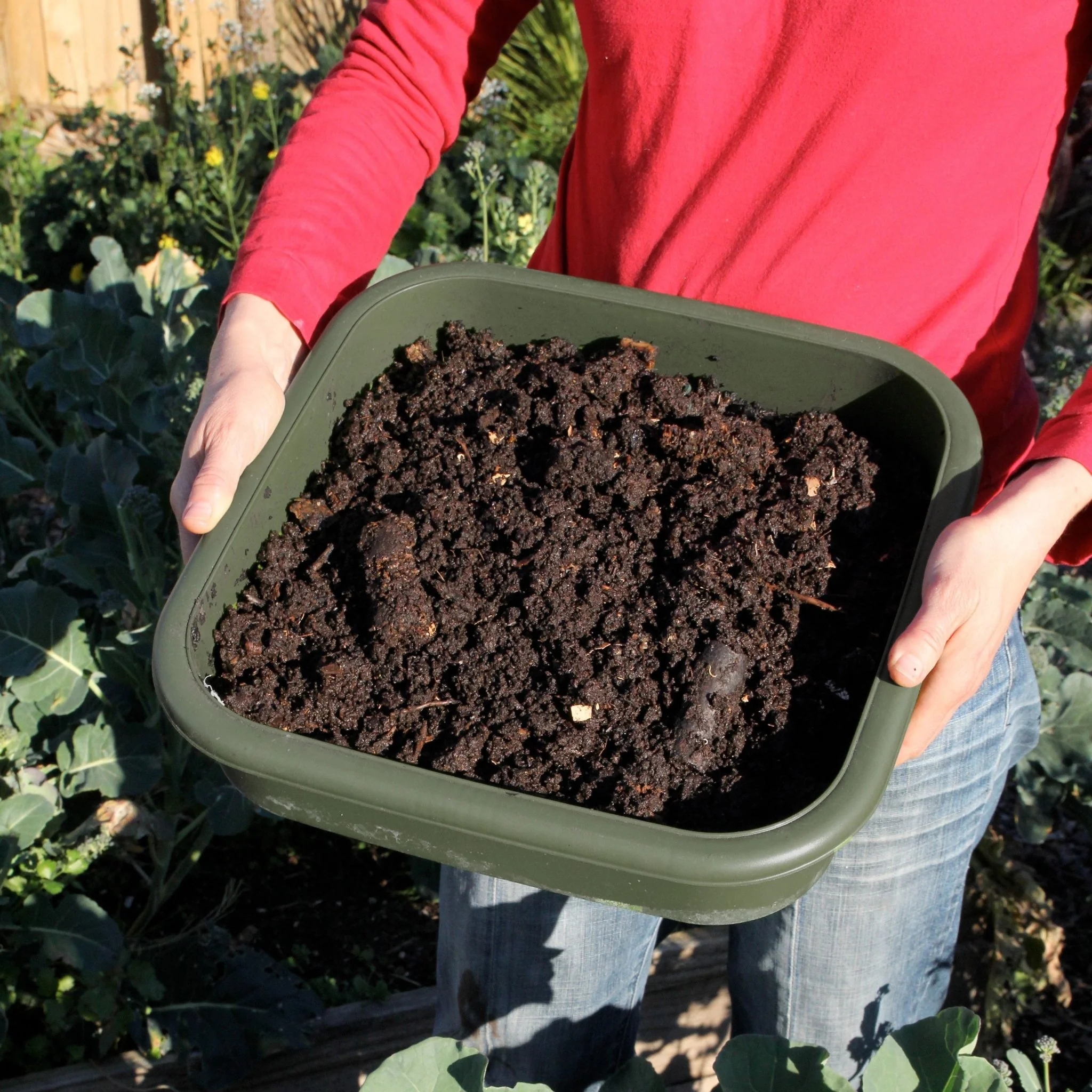 PRE ORDER: MAY - Hungry Bin Worm Farm - Image 6