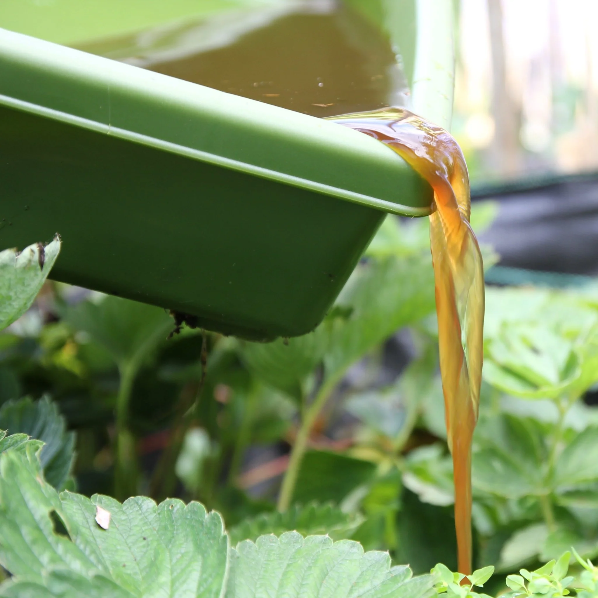 PRE ORDER: MAY - Hungry Bin Worm Farm - Image 7