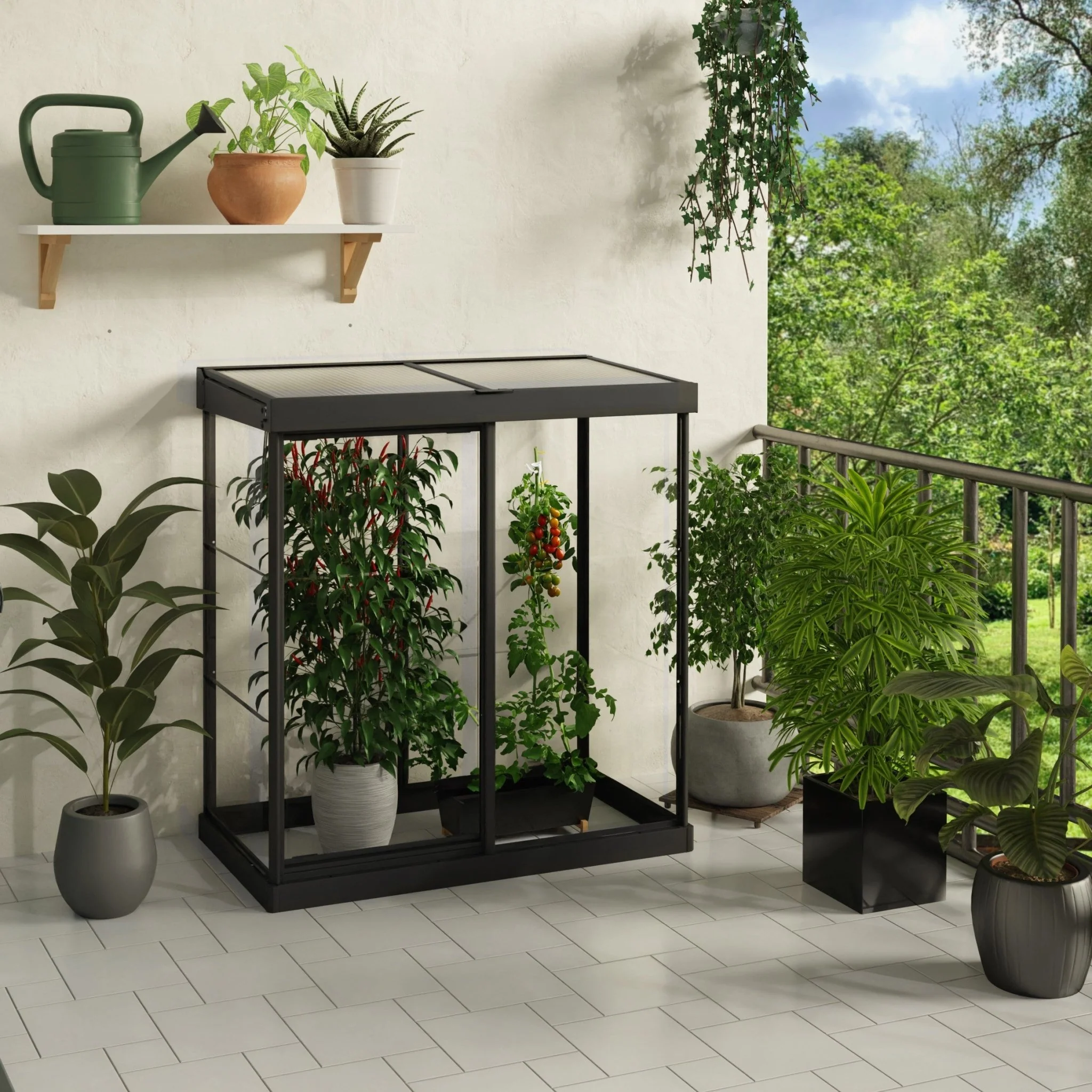 4' x 2' Ivy Mini Greenhouse - Black Frame - Image 3