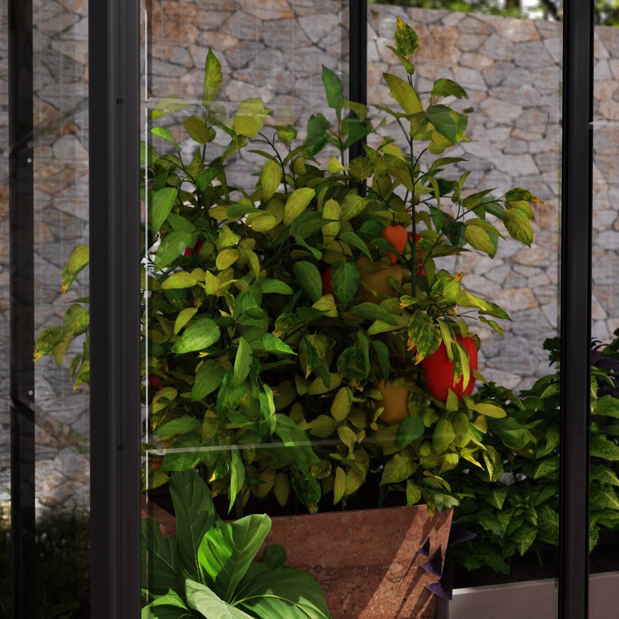 4' x 2' Ivy Mini Greenhouse - Black Frame - Image 6