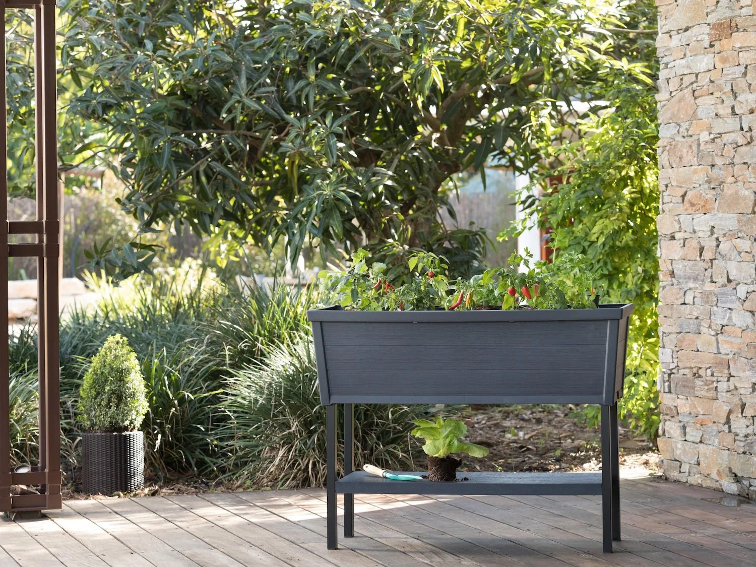 Keter Alfresco Garden Bed - Black - 2 Pack - Image 14