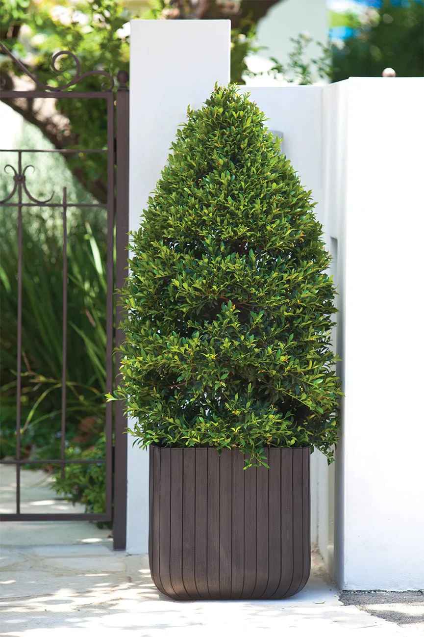 Keter Cube Planter - Brown (Medium) - 2 Pack - Image 9