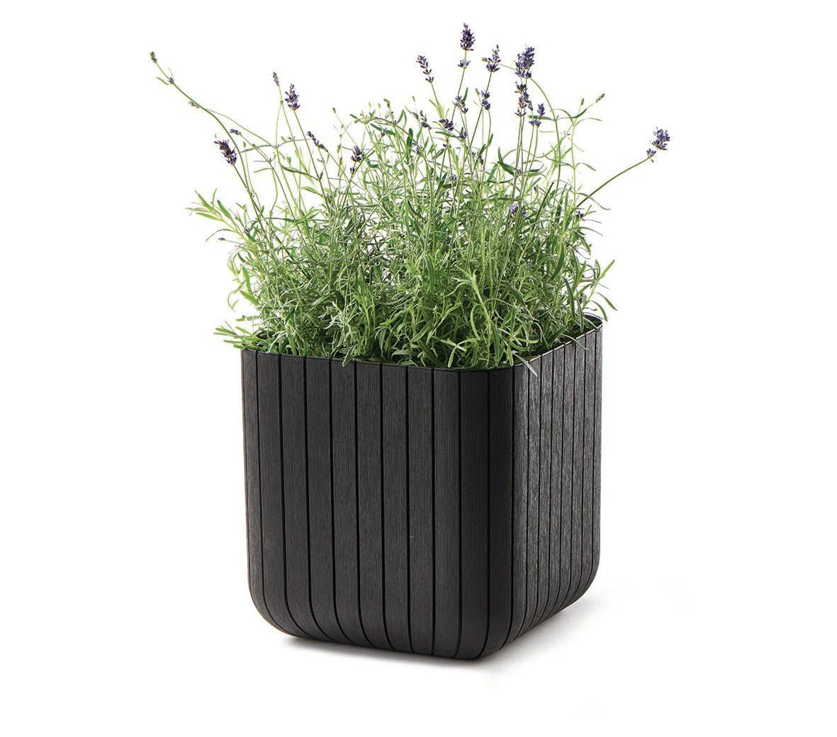 Keter Cube Planter - Set of 2 (S+M) - Brown - Image 11
