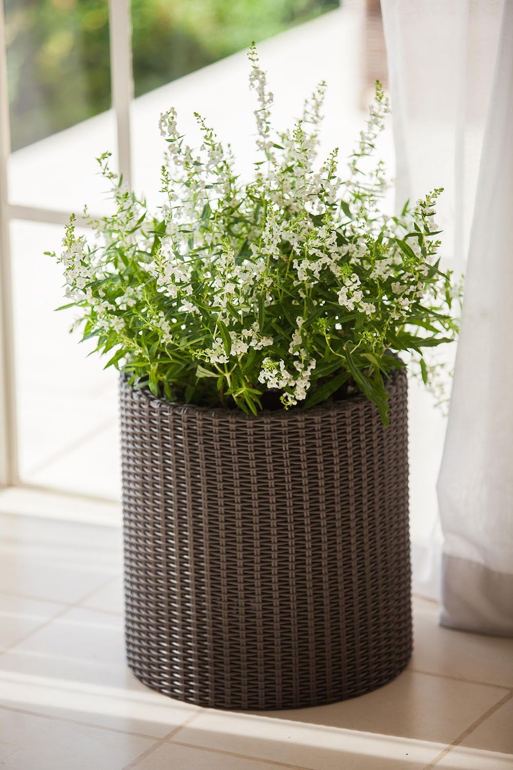 Keter Cylinder Planter- Set of 3 (S+M+L) - Dark Brown - Image 5