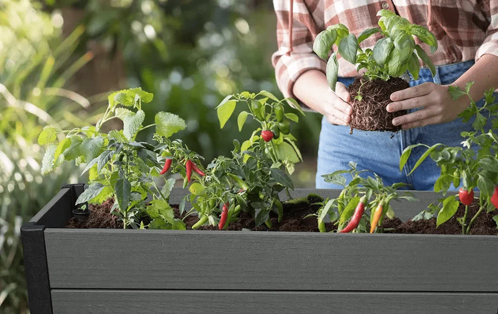 Keter Darwin Raised Garden Bed - Grey - Image 6