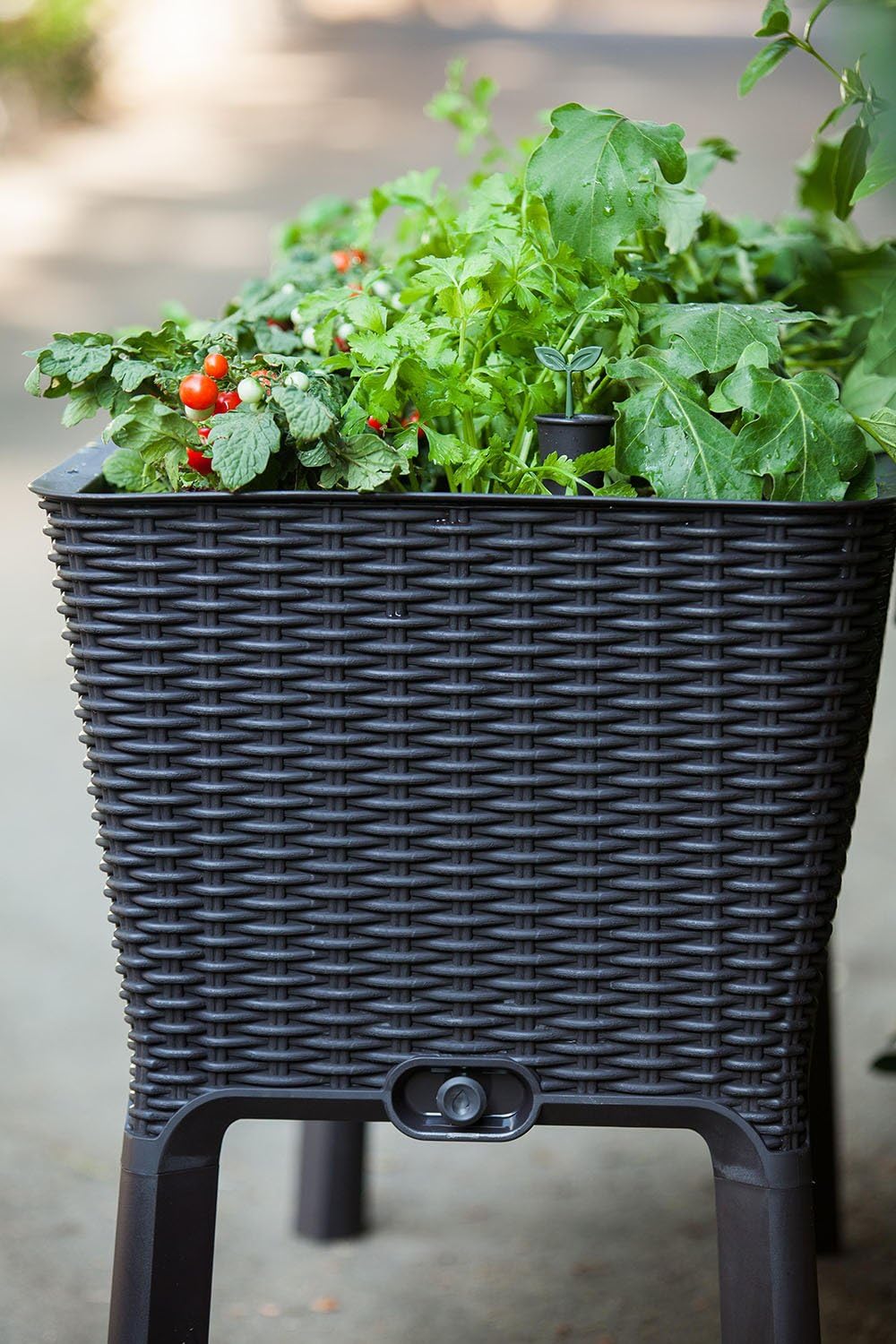 Keter Easy Grow Planter- Brown - 2 Pack - Image 16