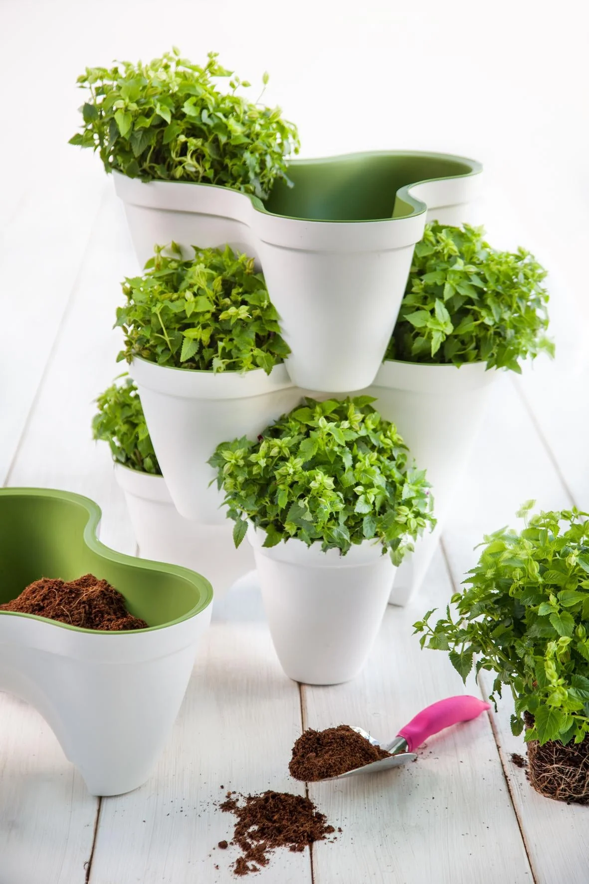 Keter Ivy Planter - White / Green - 3 Pack - Image 12