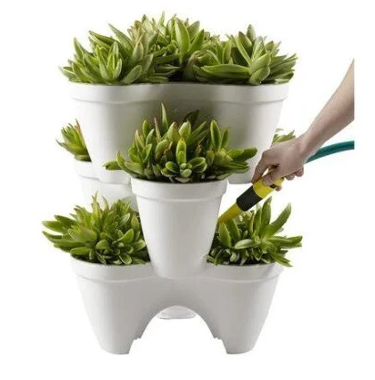 Keter Ivy Planter - White / Green - 5 Pack - Image 14