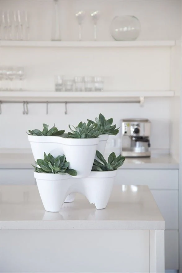 Keter Ivy Planter - White / Green - Image 9