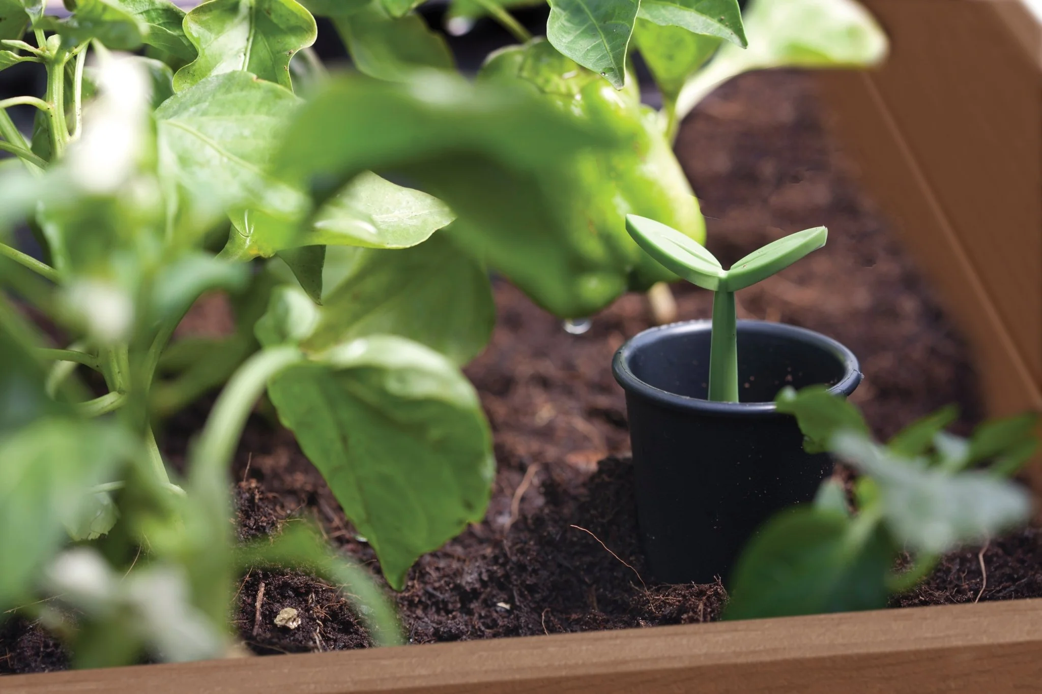 Keter Signature Elevated Garden Bed - Walnut Look - Image 7
