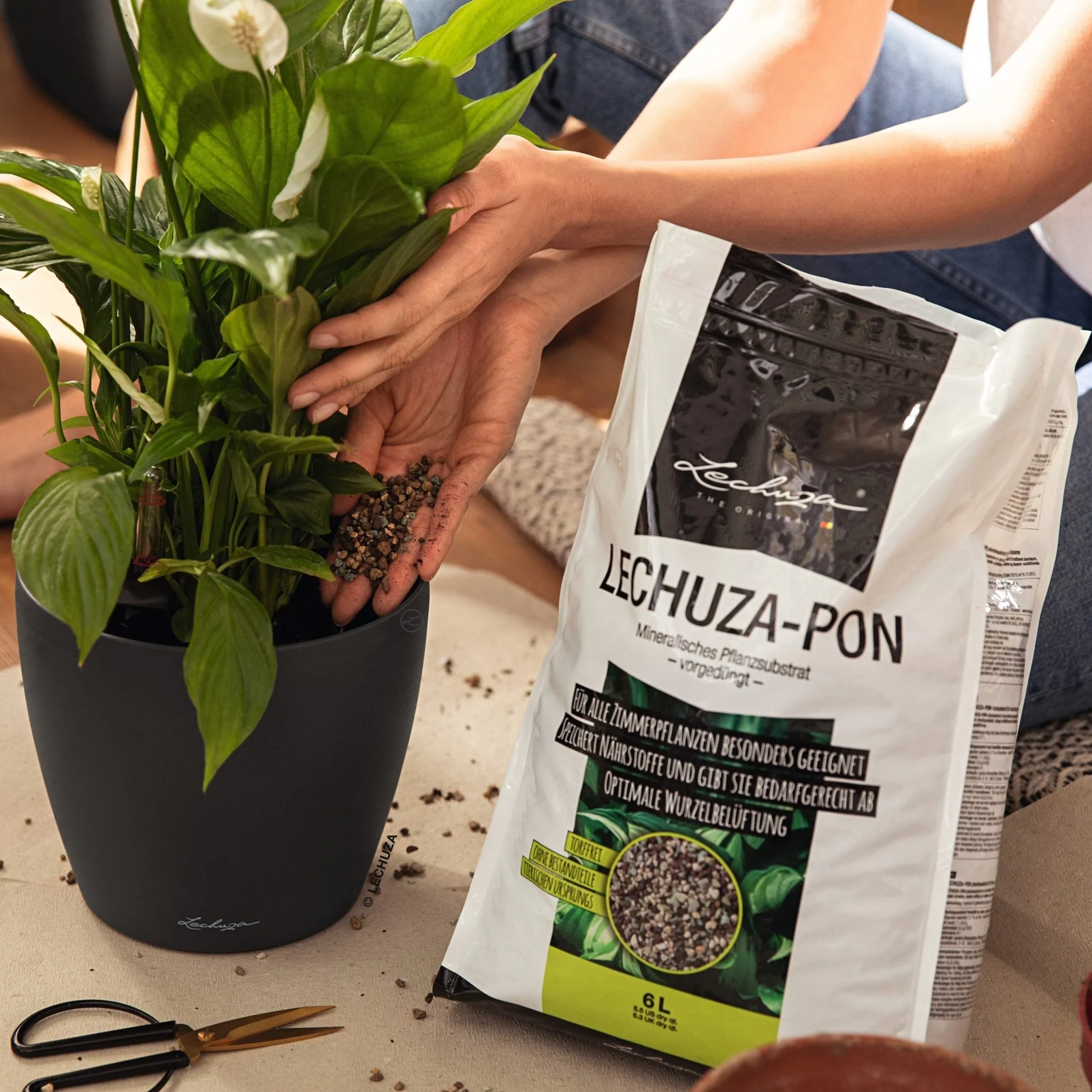 LECHUZA PON Plant Substrate - Image 8