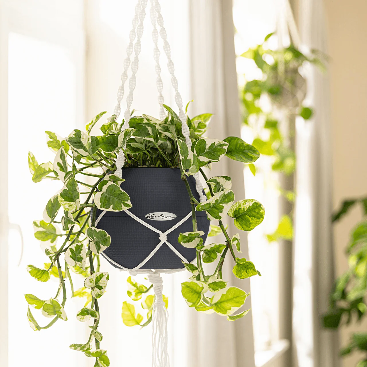 Macramé Hanger - Image 4
