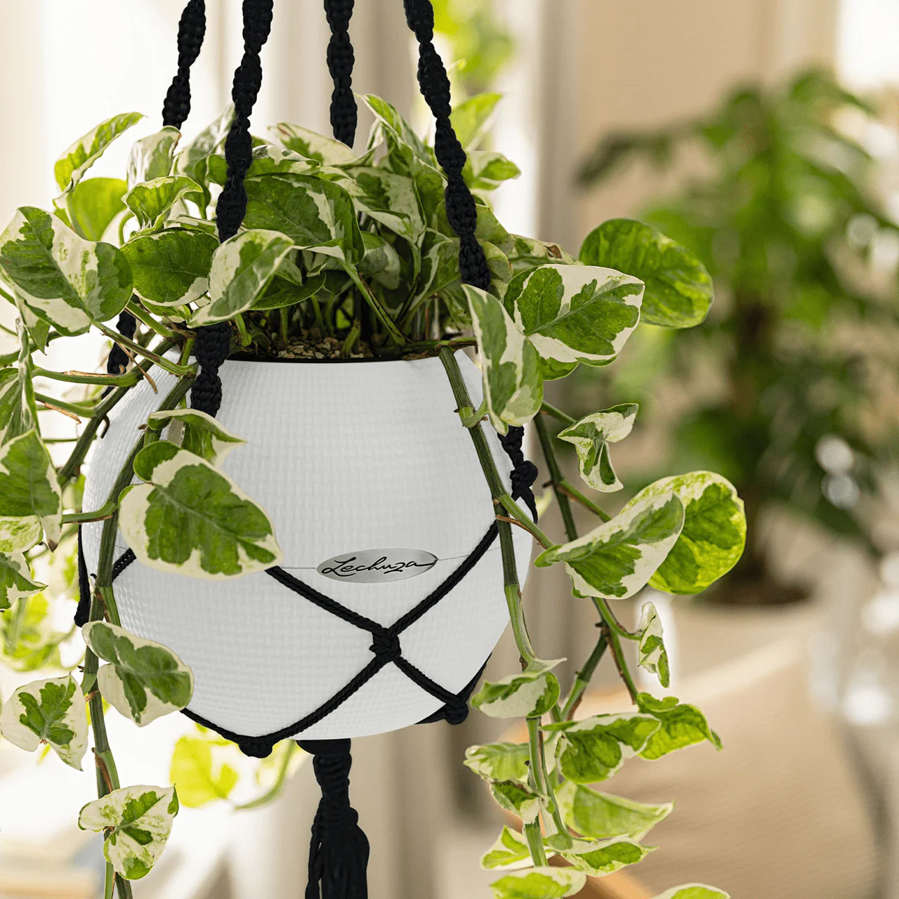 Macramé Hanger - Image 5