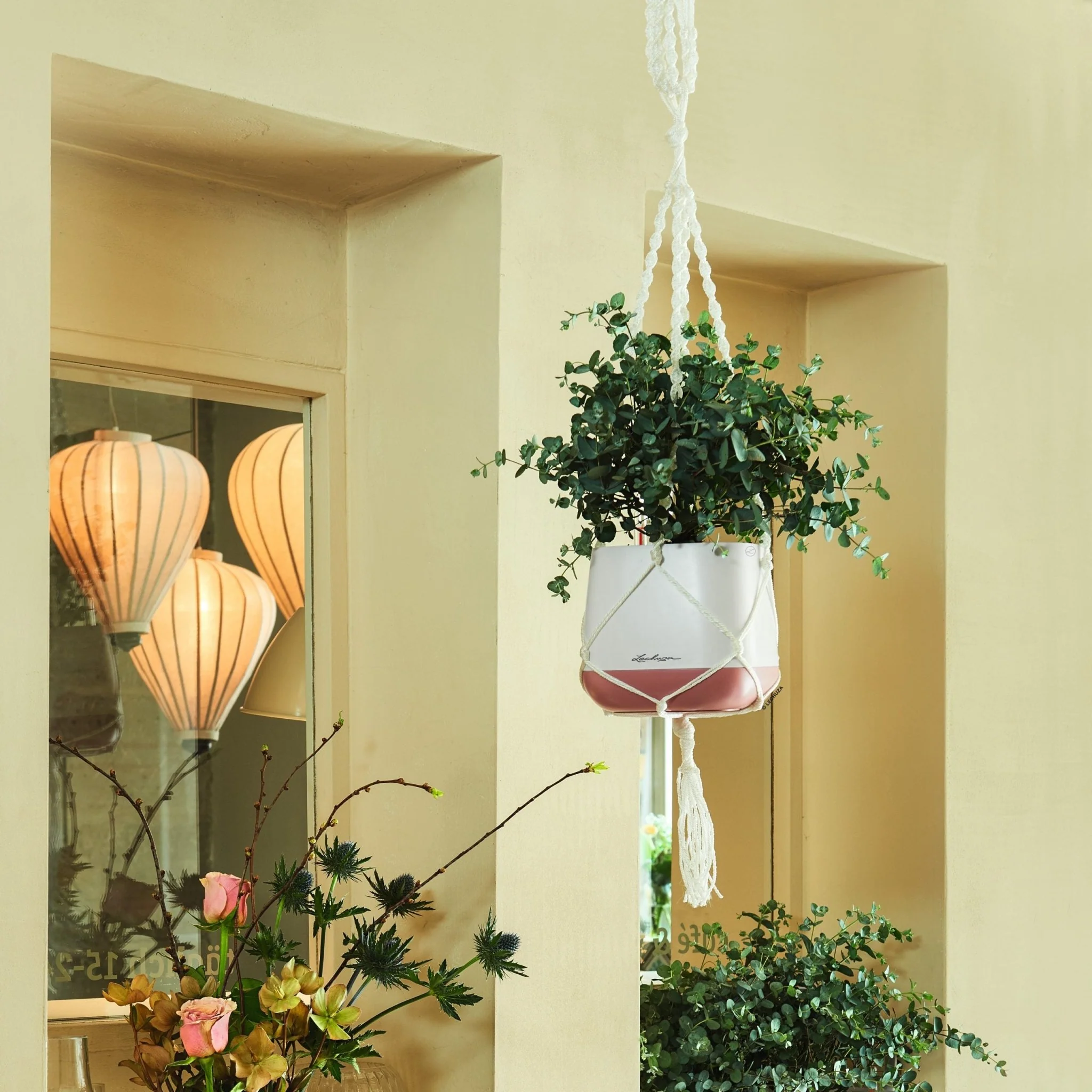Macramé Hanger - Image 6